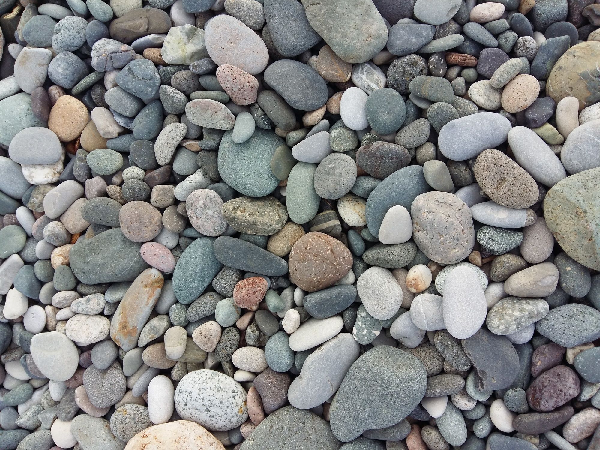 Фото Rock Hotel First Line