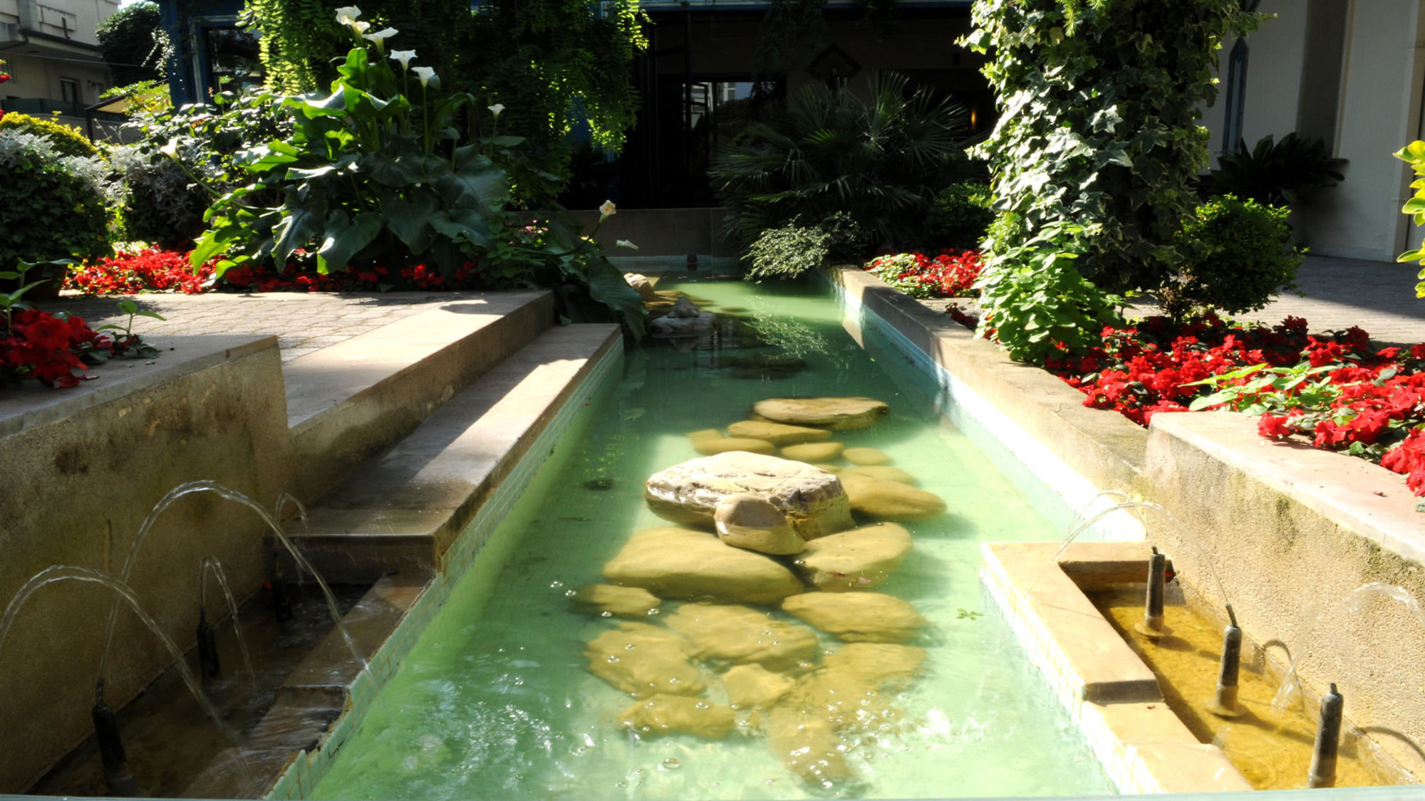 Фото Hotel Stella