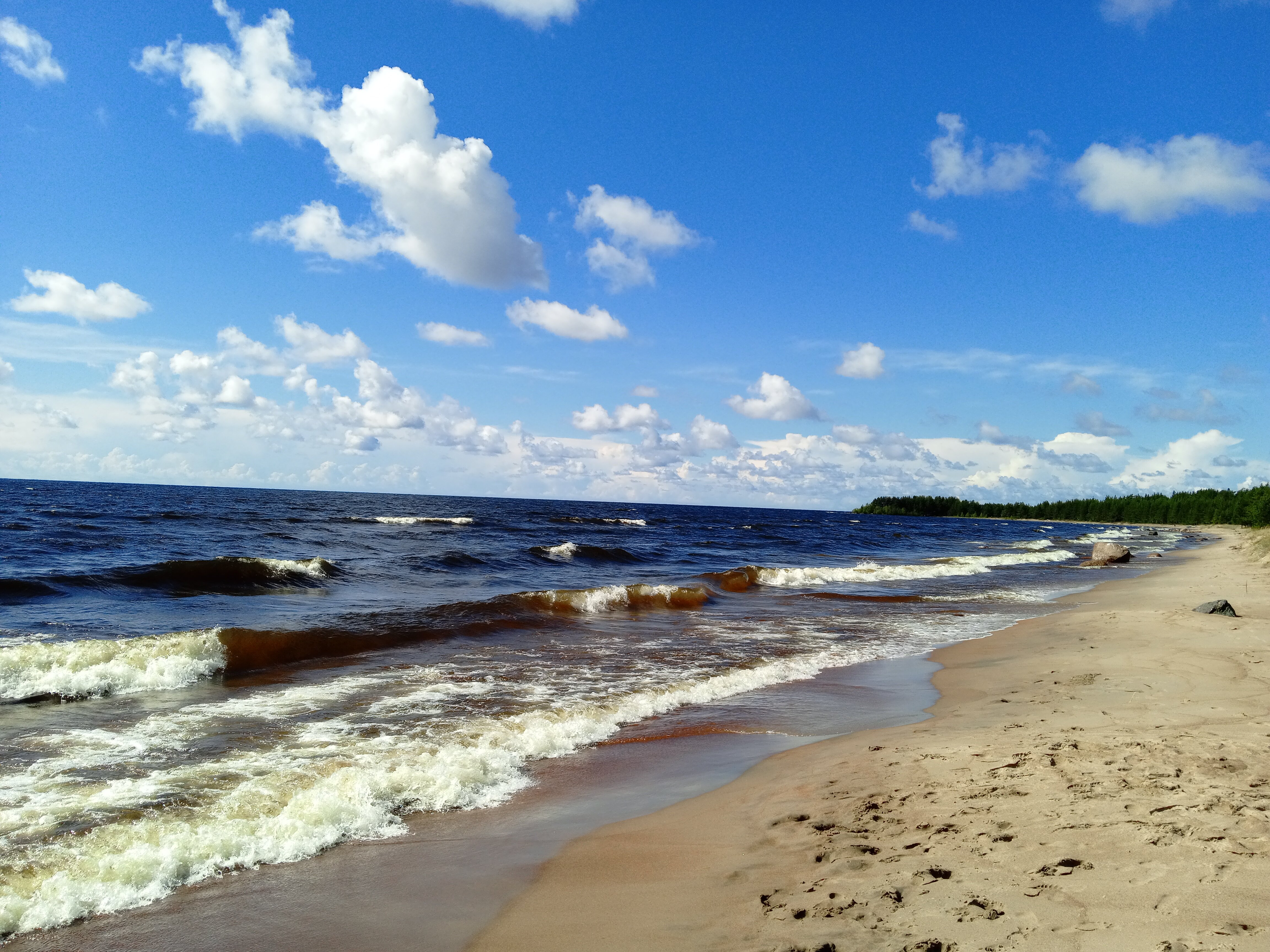 Фото Тулокса