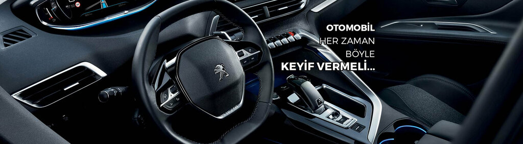 Auto body repair Ece Auto Citroen Peugeot Private Service, Erenler, photo