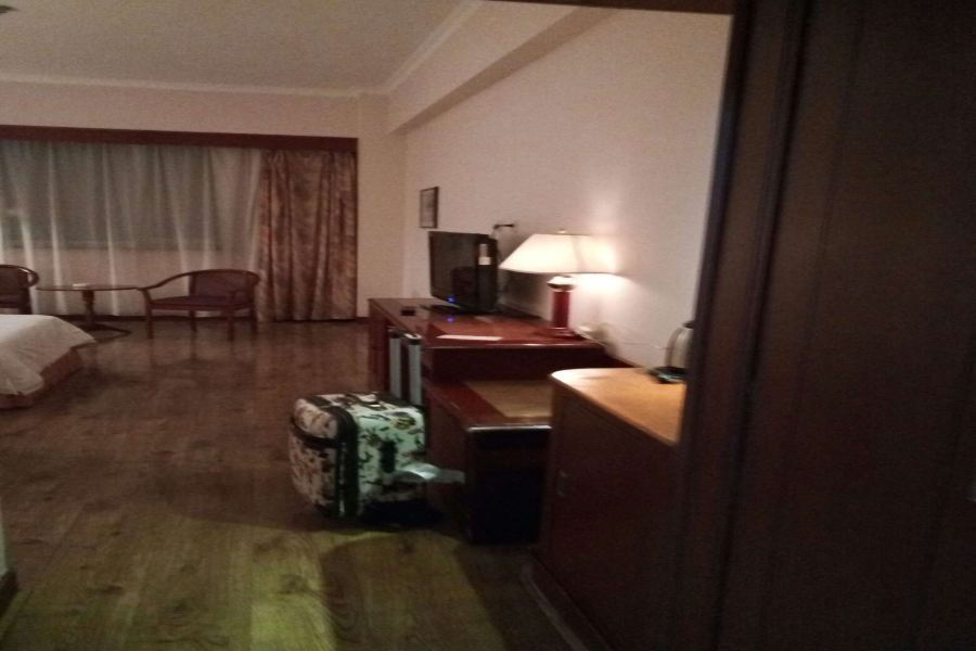 Фото Shenyang Airport Hotel