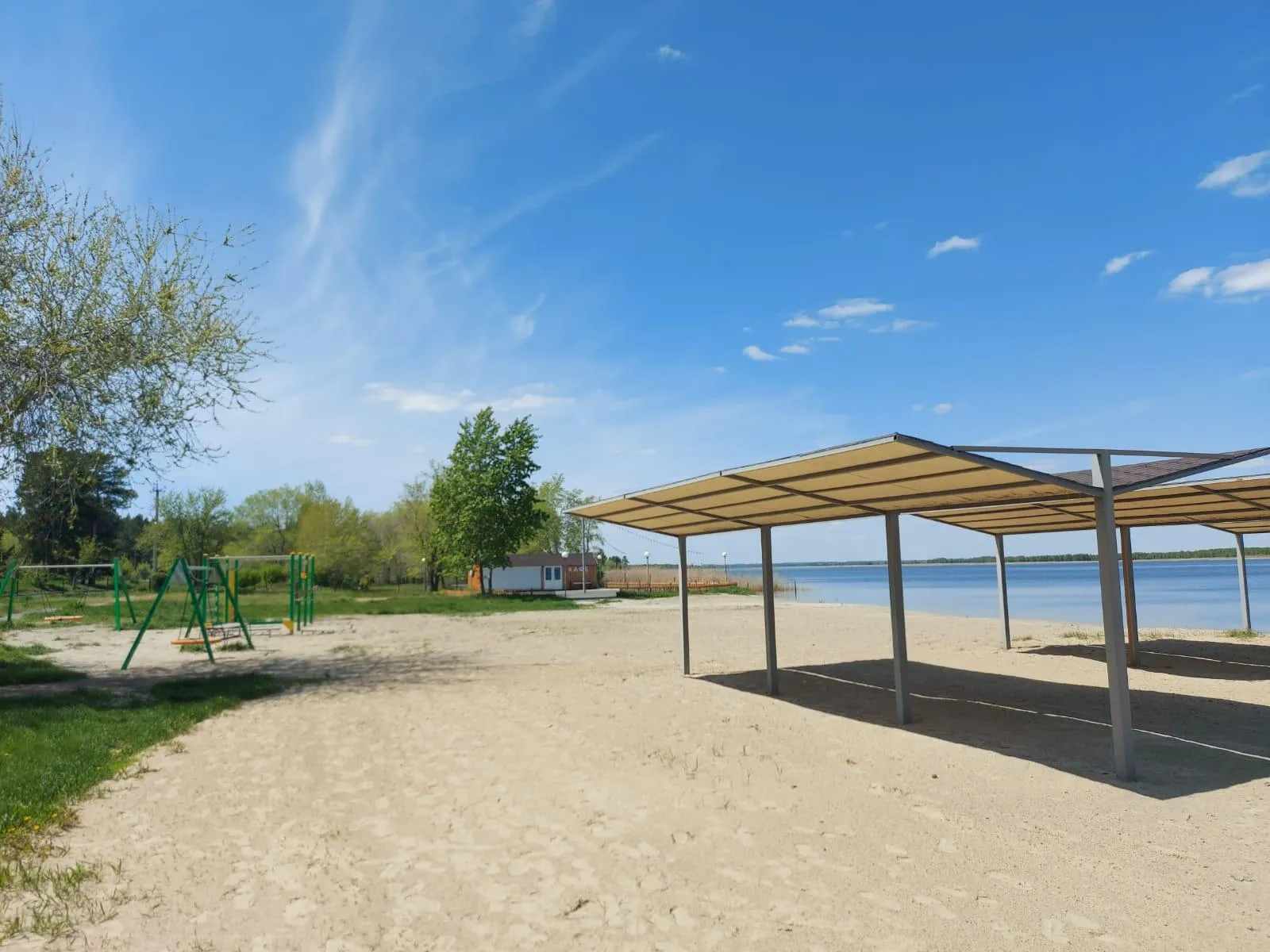 Фото Сосновая роща