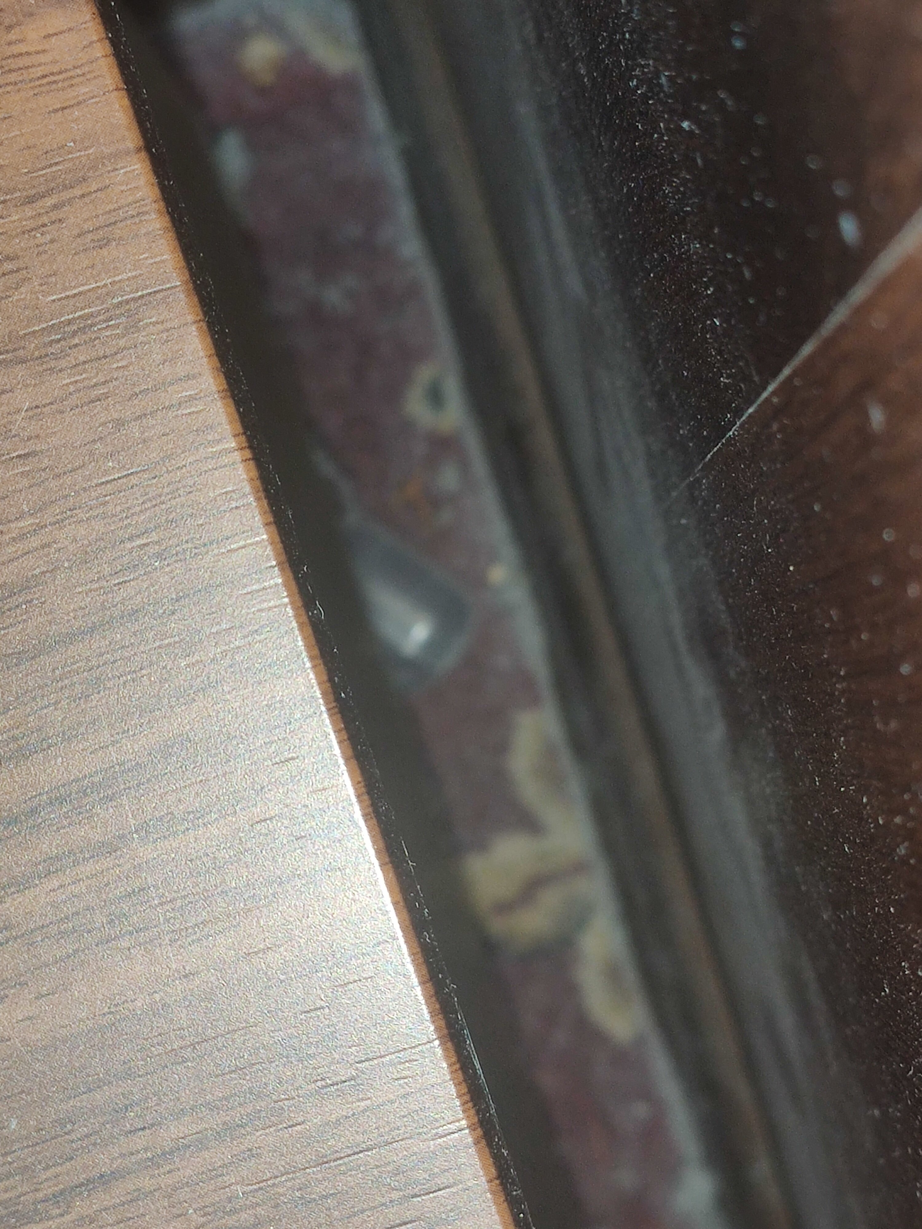 Фото Pan Tourist