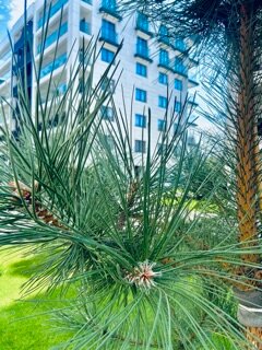 Фото Европа