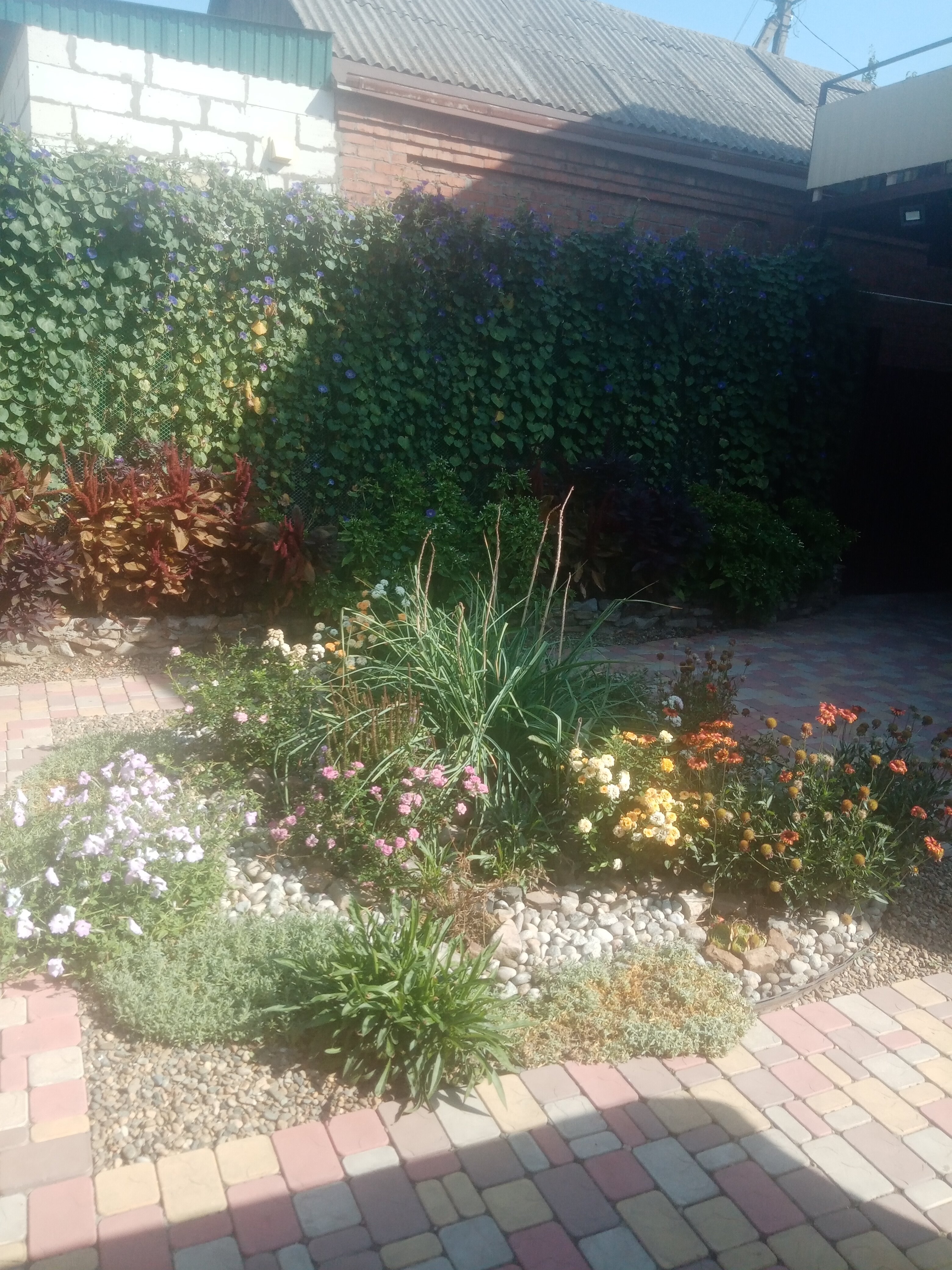 Фото Фантазия