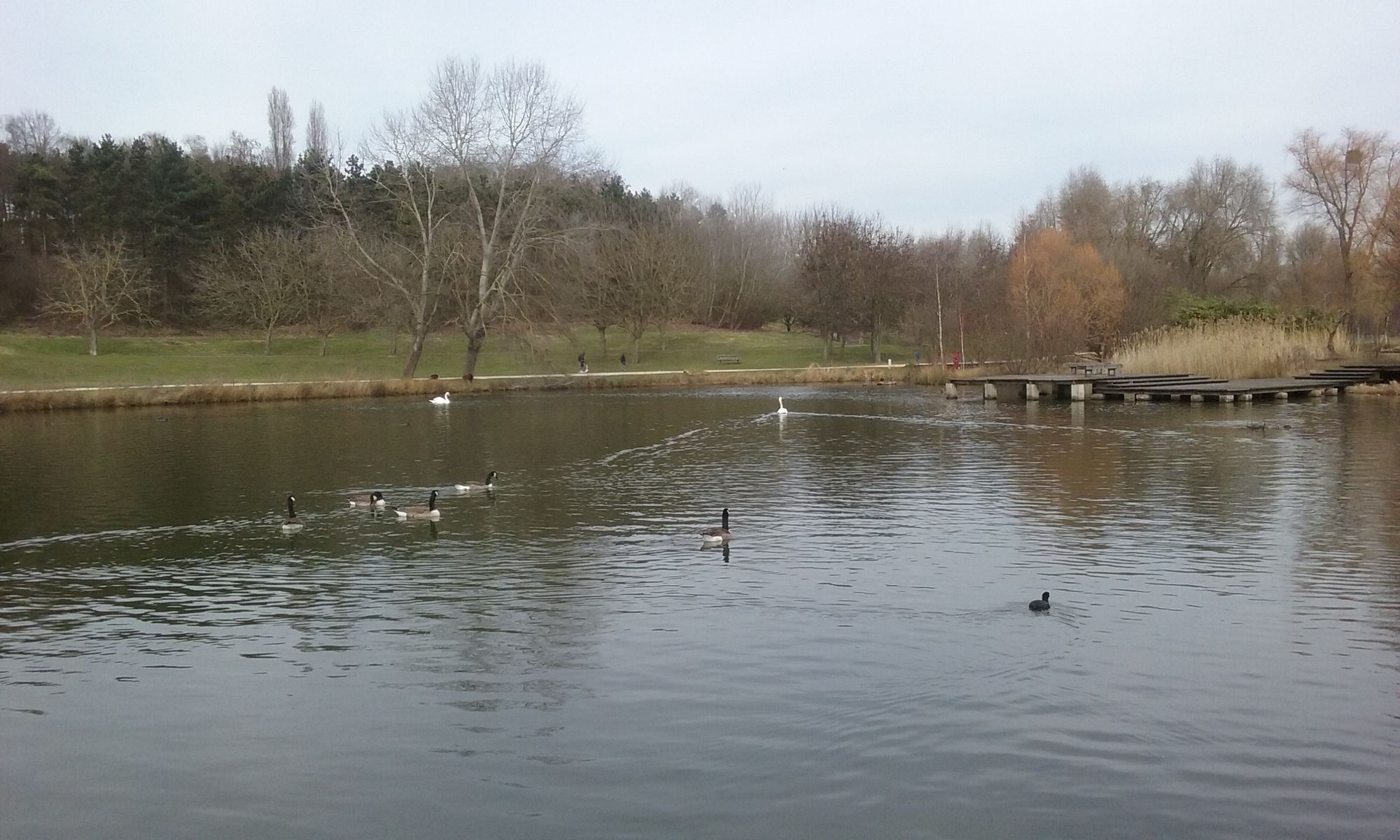 Фото Central Créteil