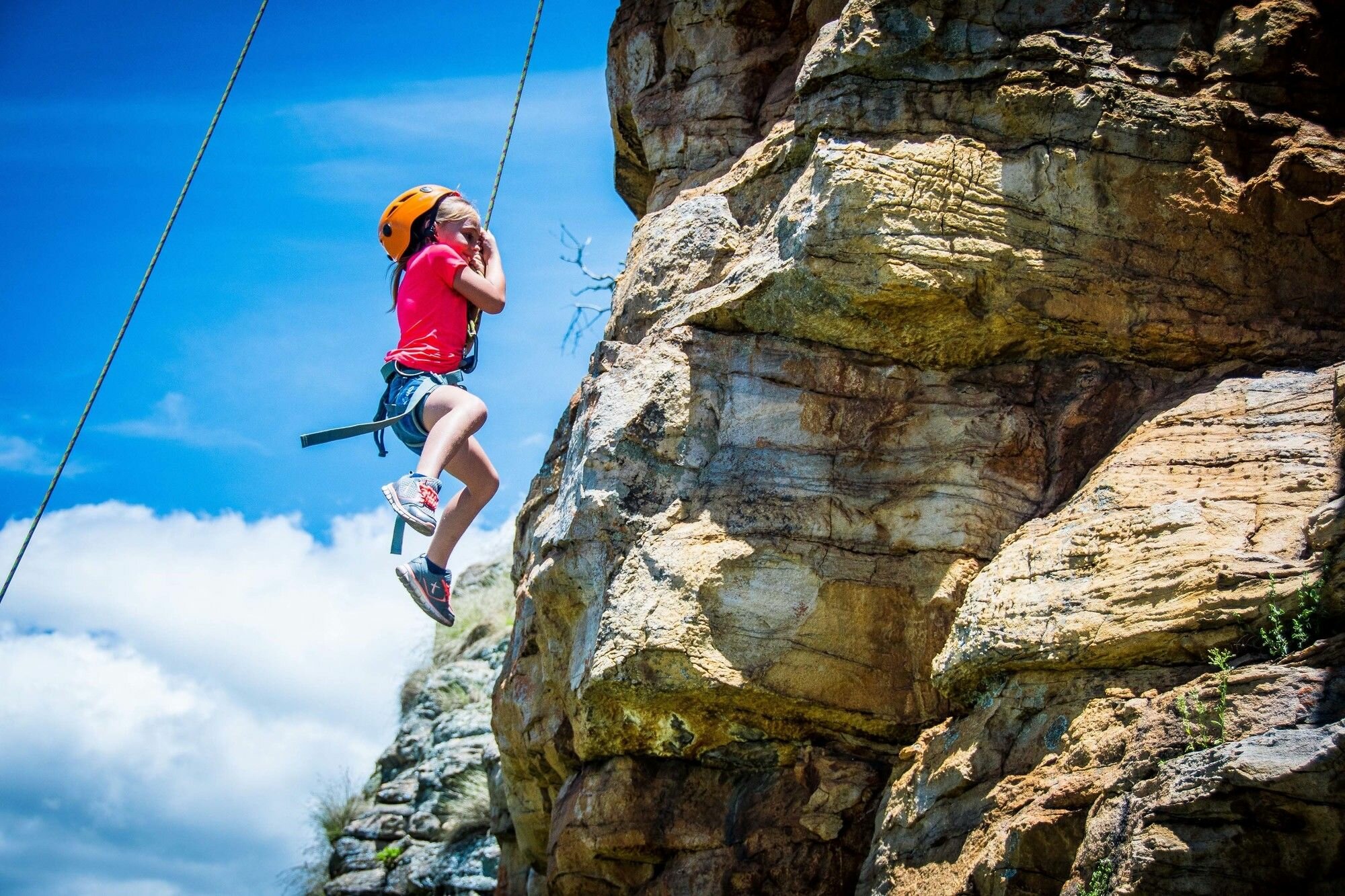 Фото Dunkeld Country Estate
