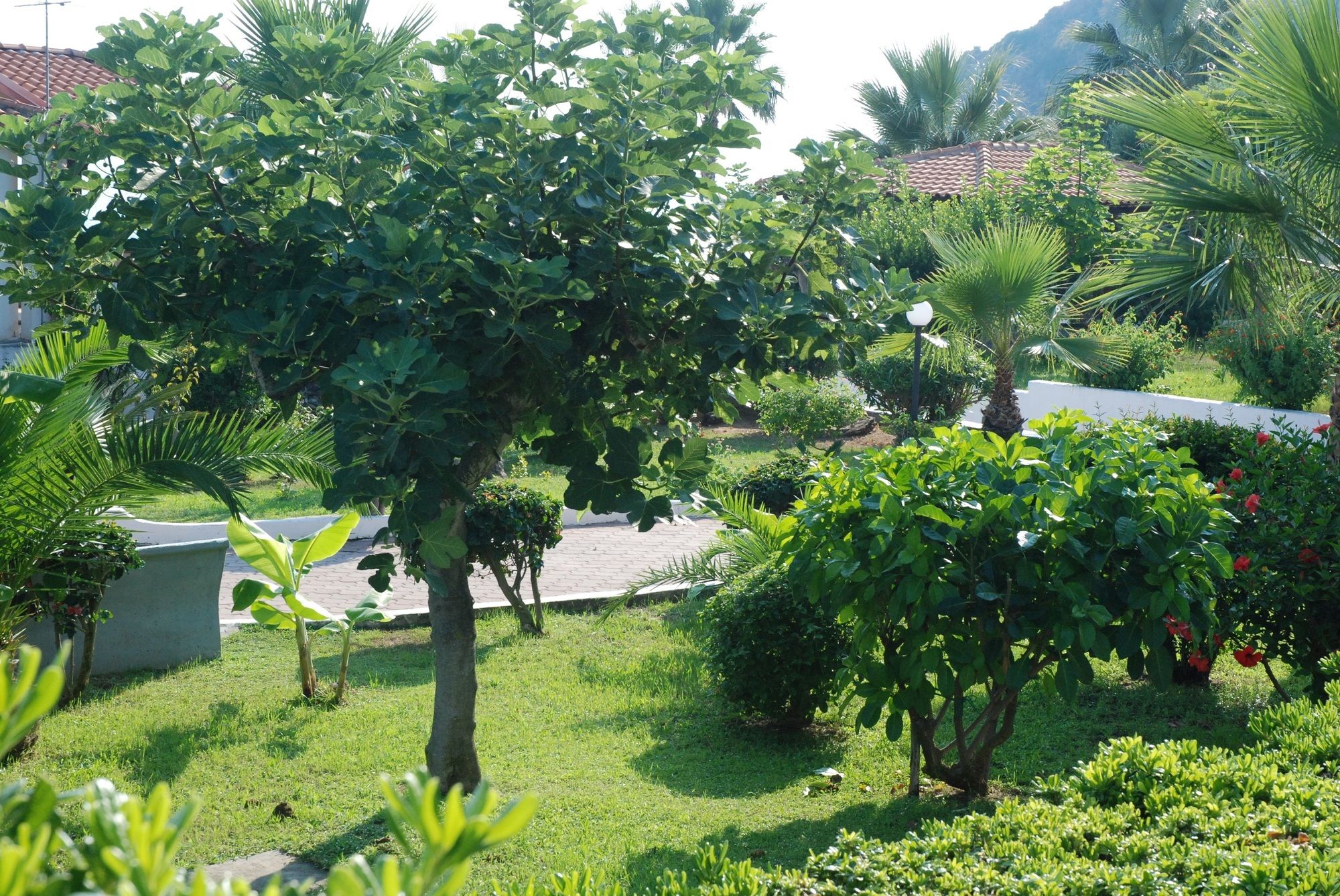 Фото Villaggio Baia d'Ercole