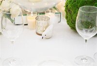 Фото Méndez Núñez Hotel