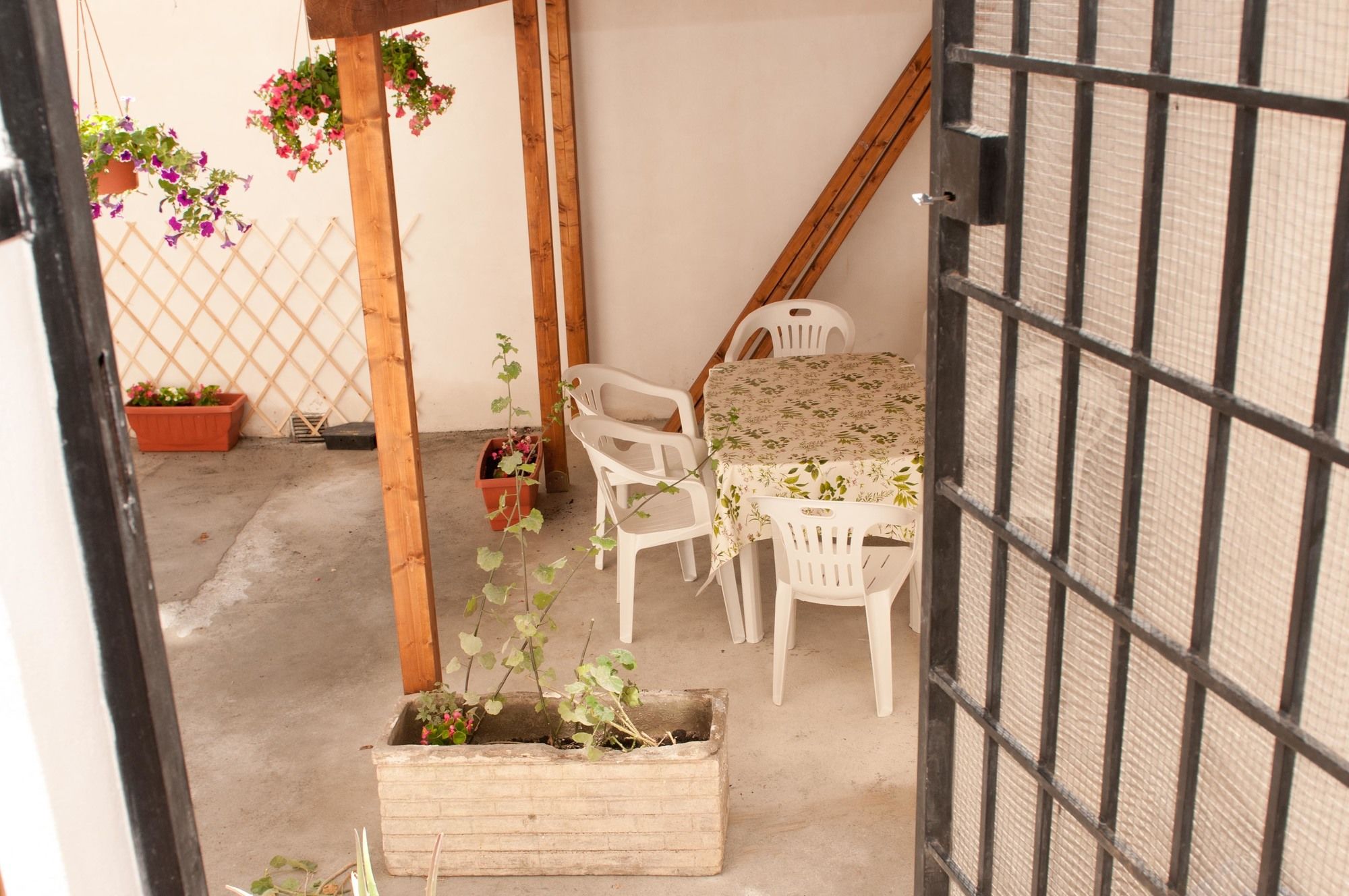Фото Dandi Domus