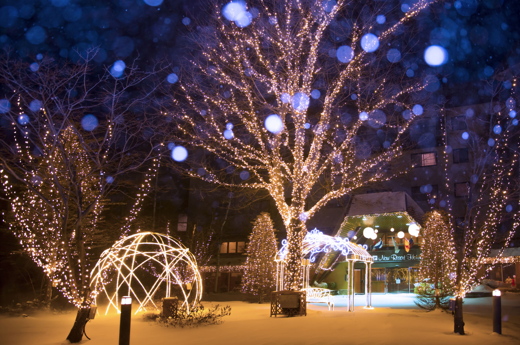 Фото 181965387168