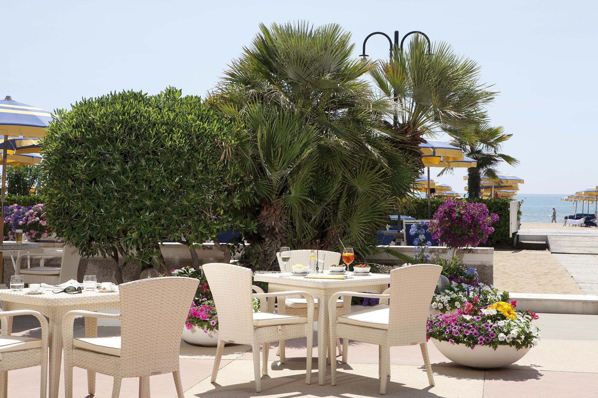 Фото Hotel Aurora