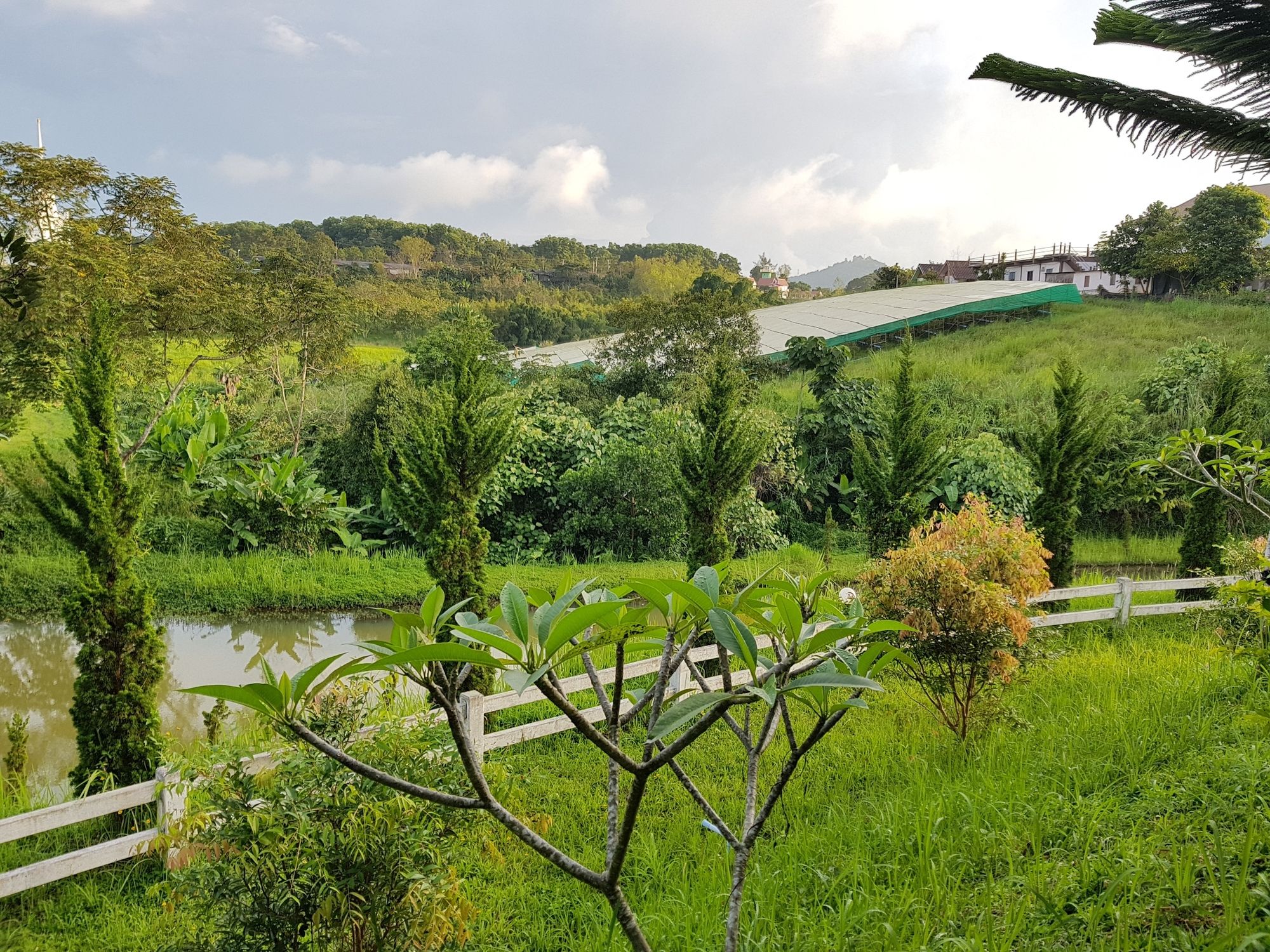 Фото Mossview Resort