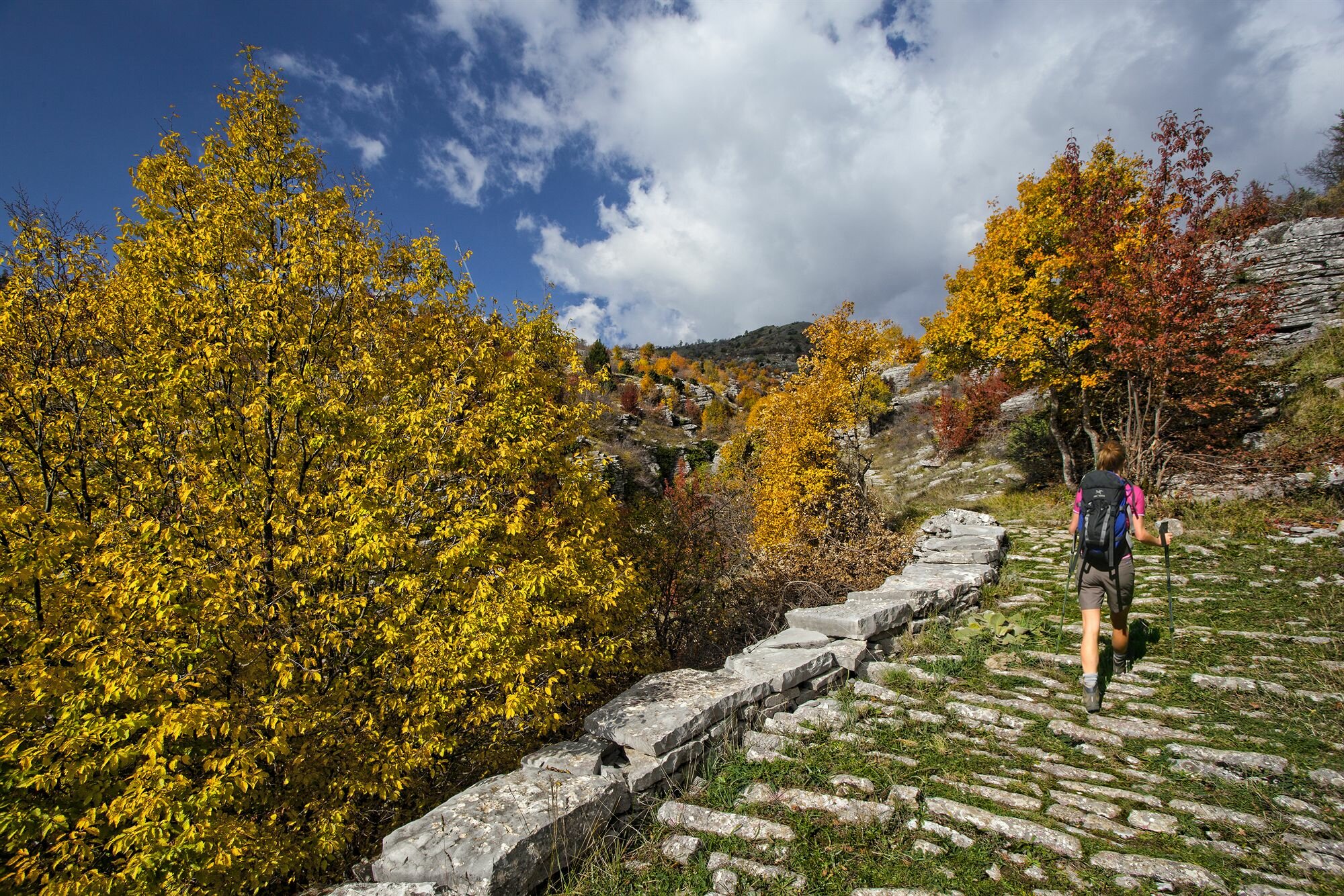 Фото Epirus Palace Congress & SPA