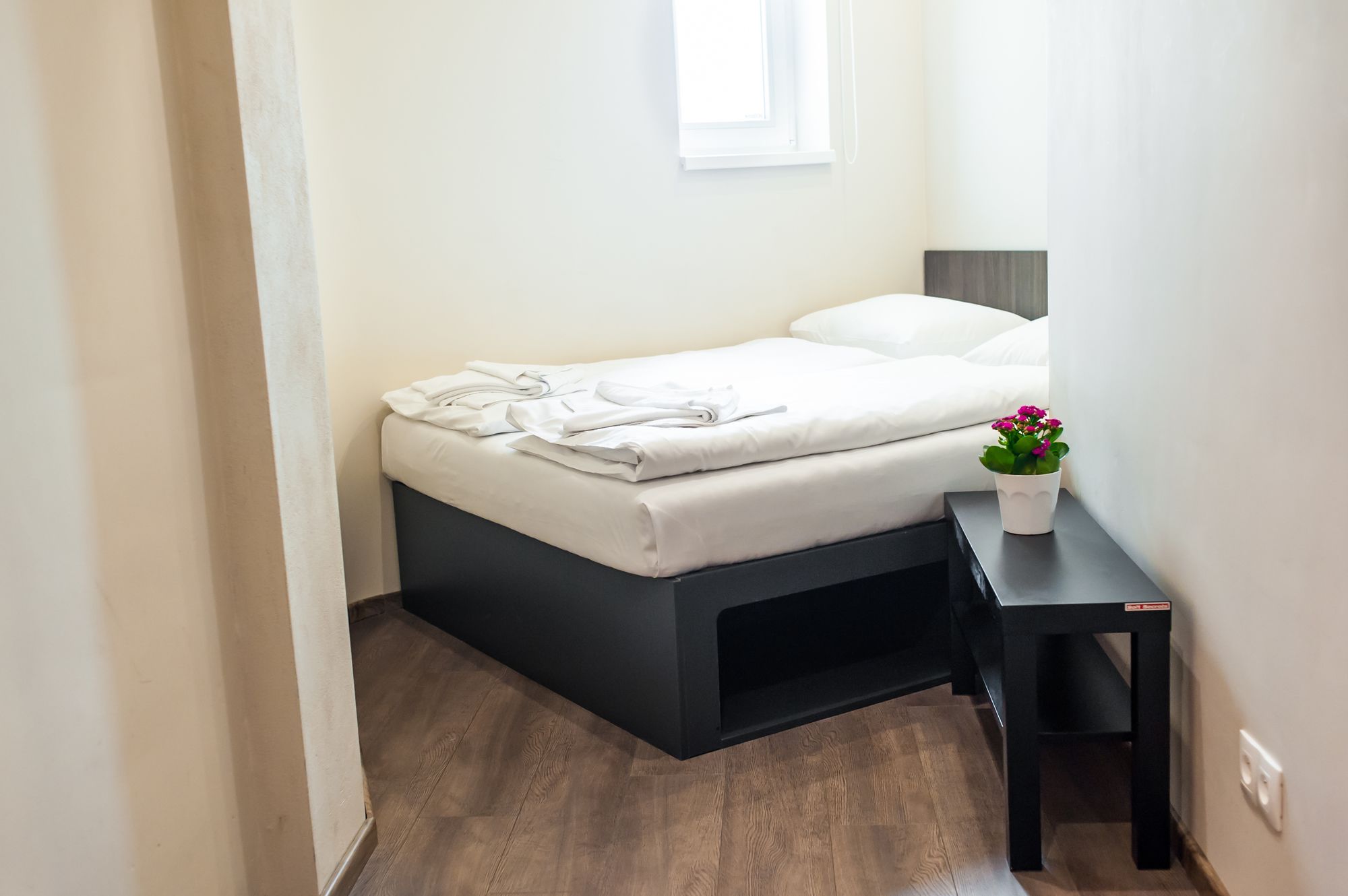 Фото 74096153929