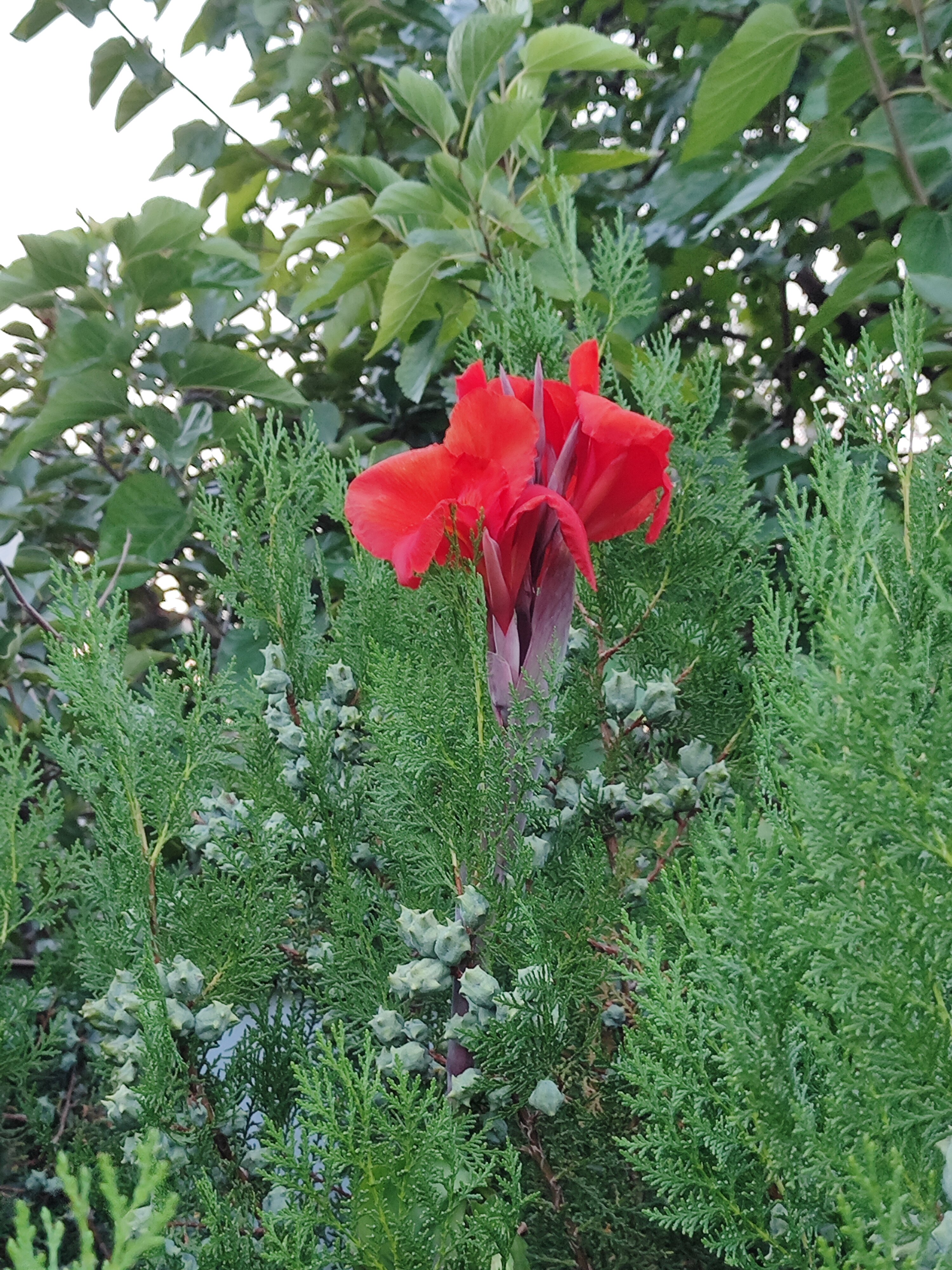 Фото Белые ночи