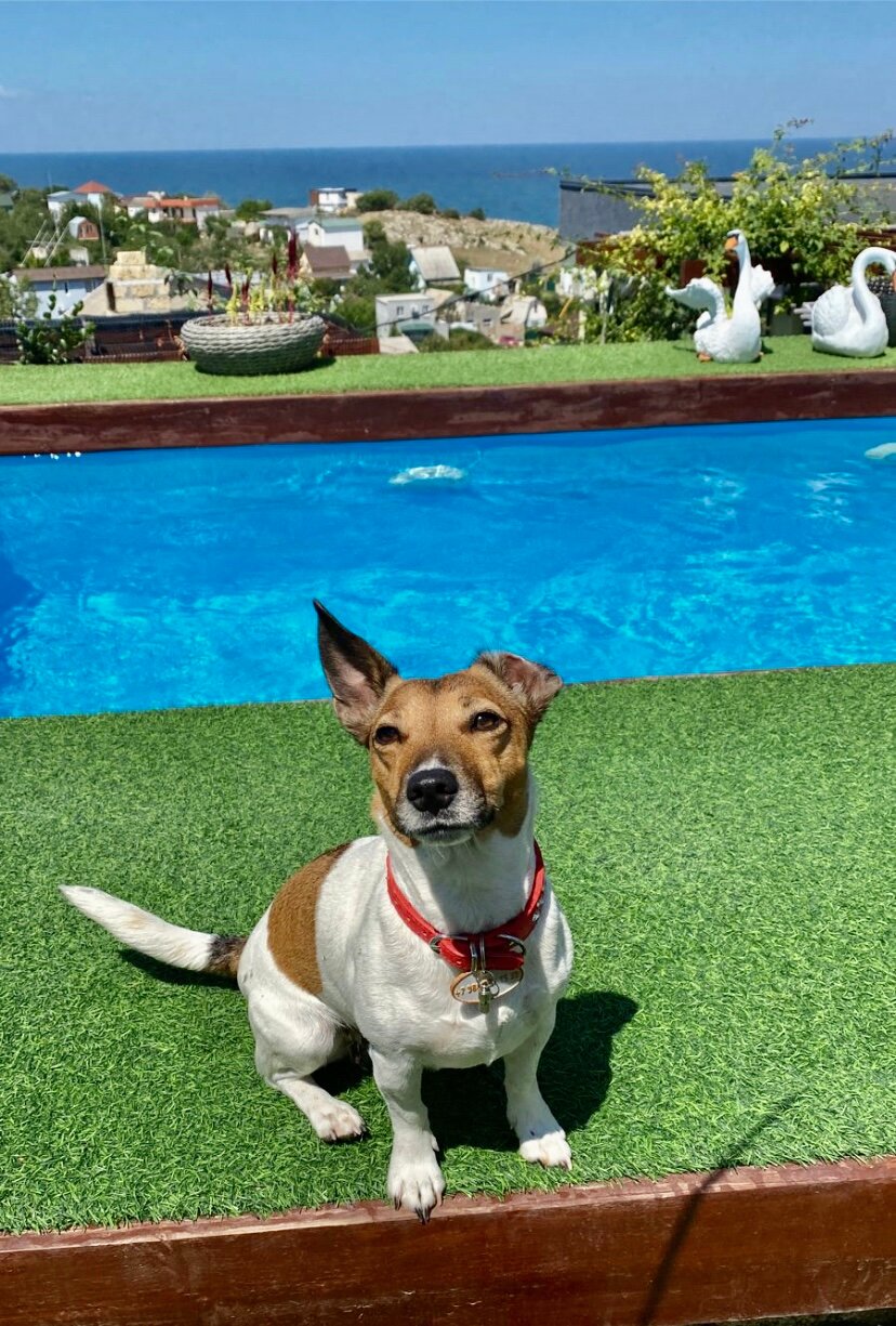 Фото Семирамида