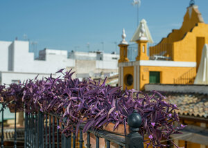 Гостиница Las Casas de la Juderia