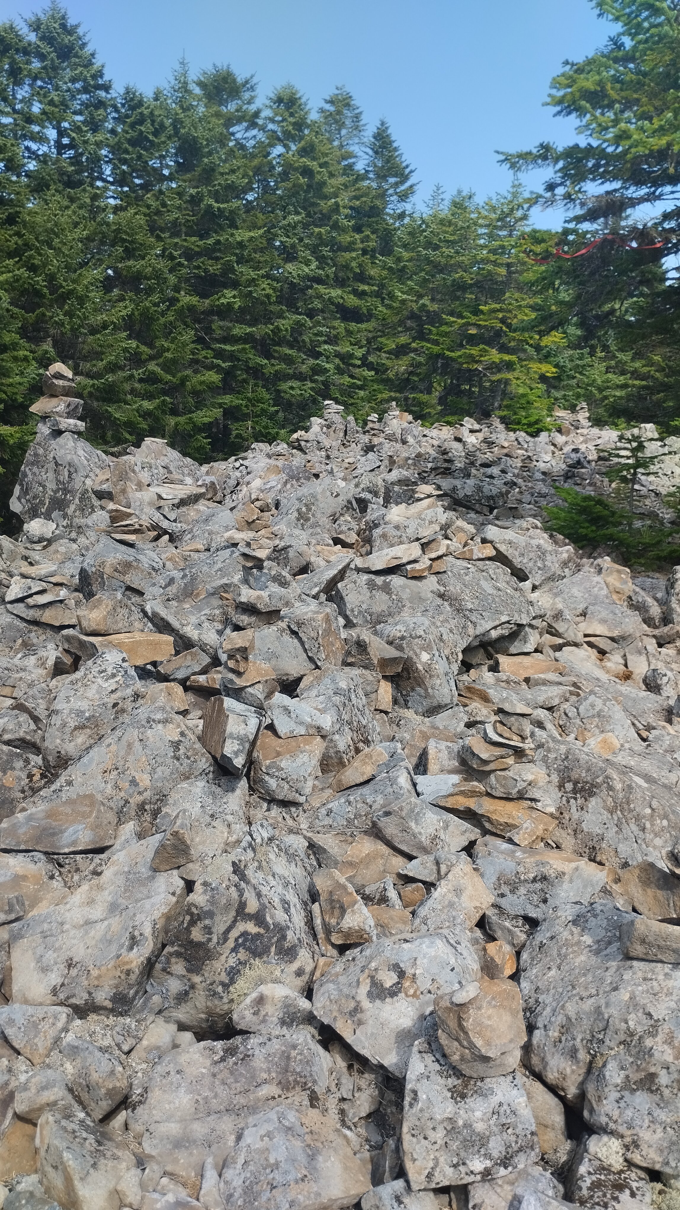 Фото Гостиный двор