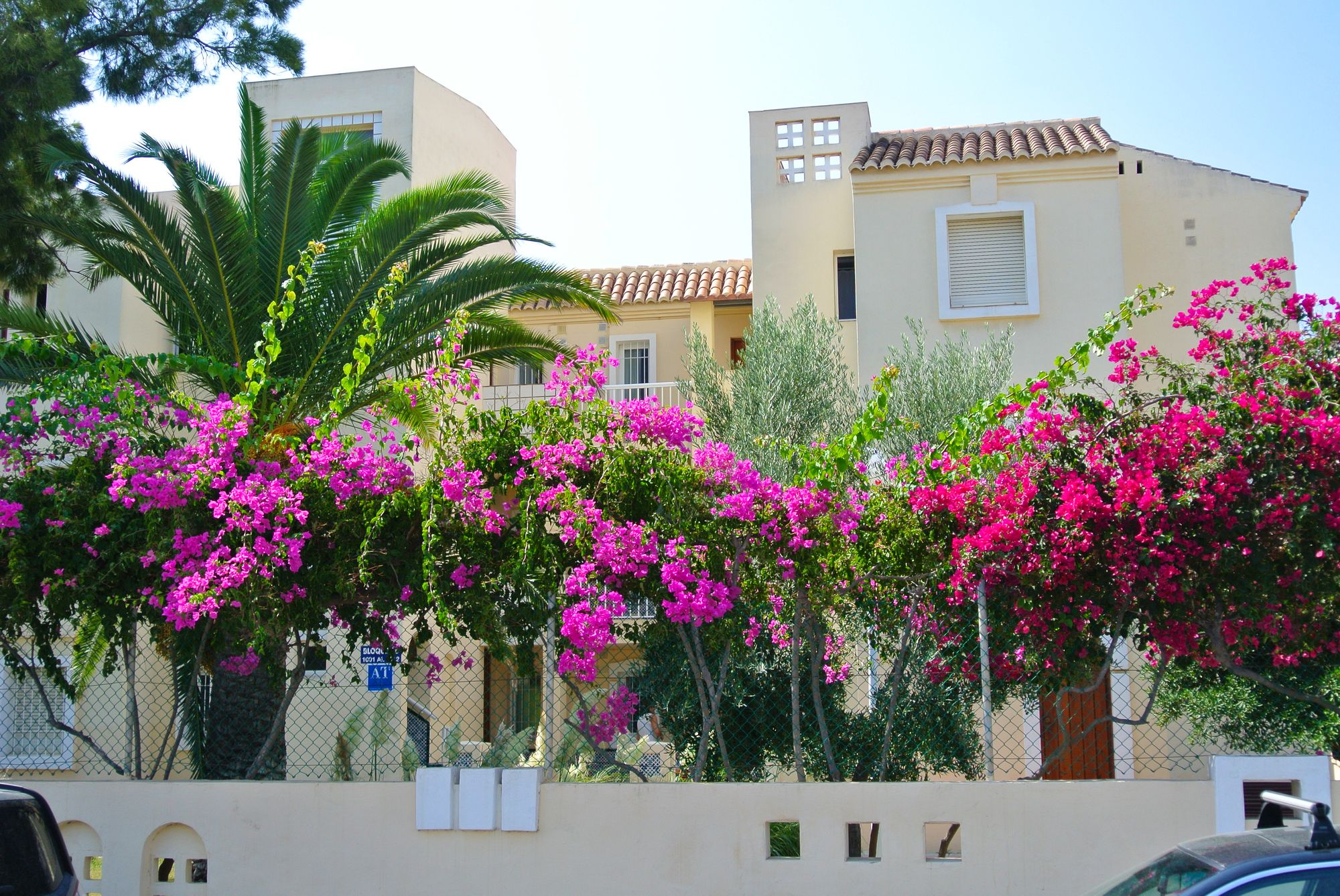 Фото Apartamentos Moguima