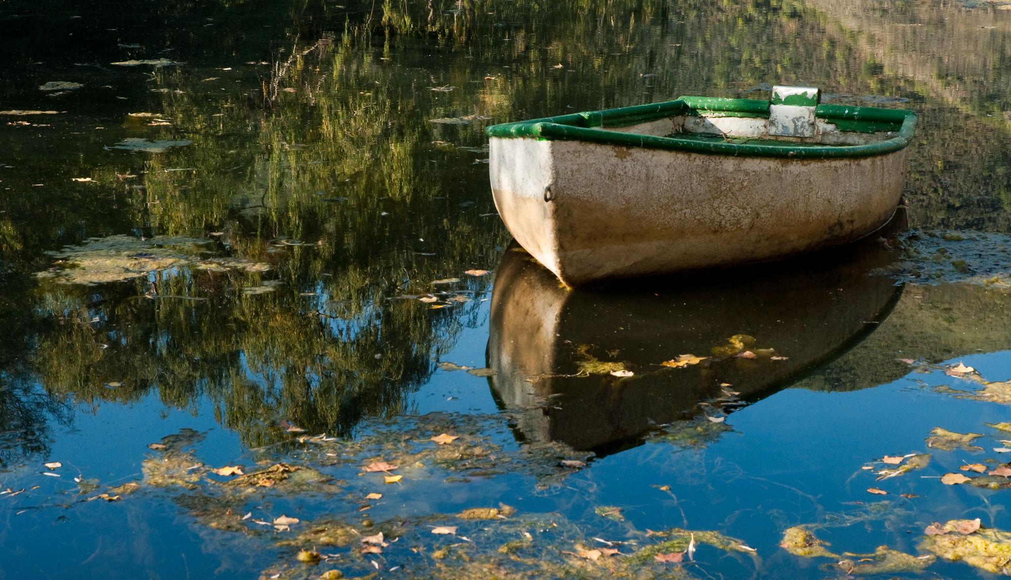 Фото Old Mill Lodge, Working Ostrich Farm & Restaurant, Oudtshoorn