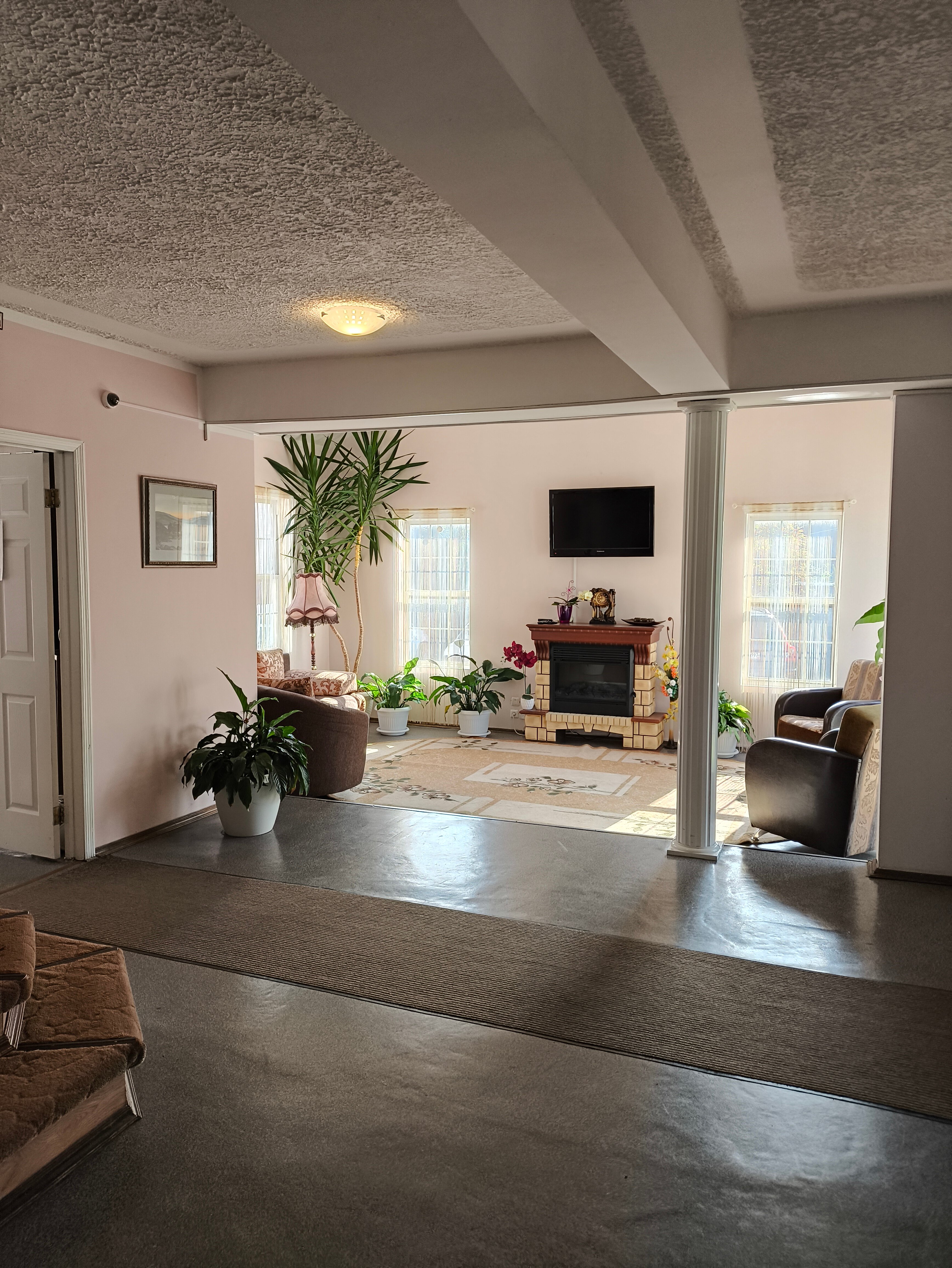 Фото Орхидея