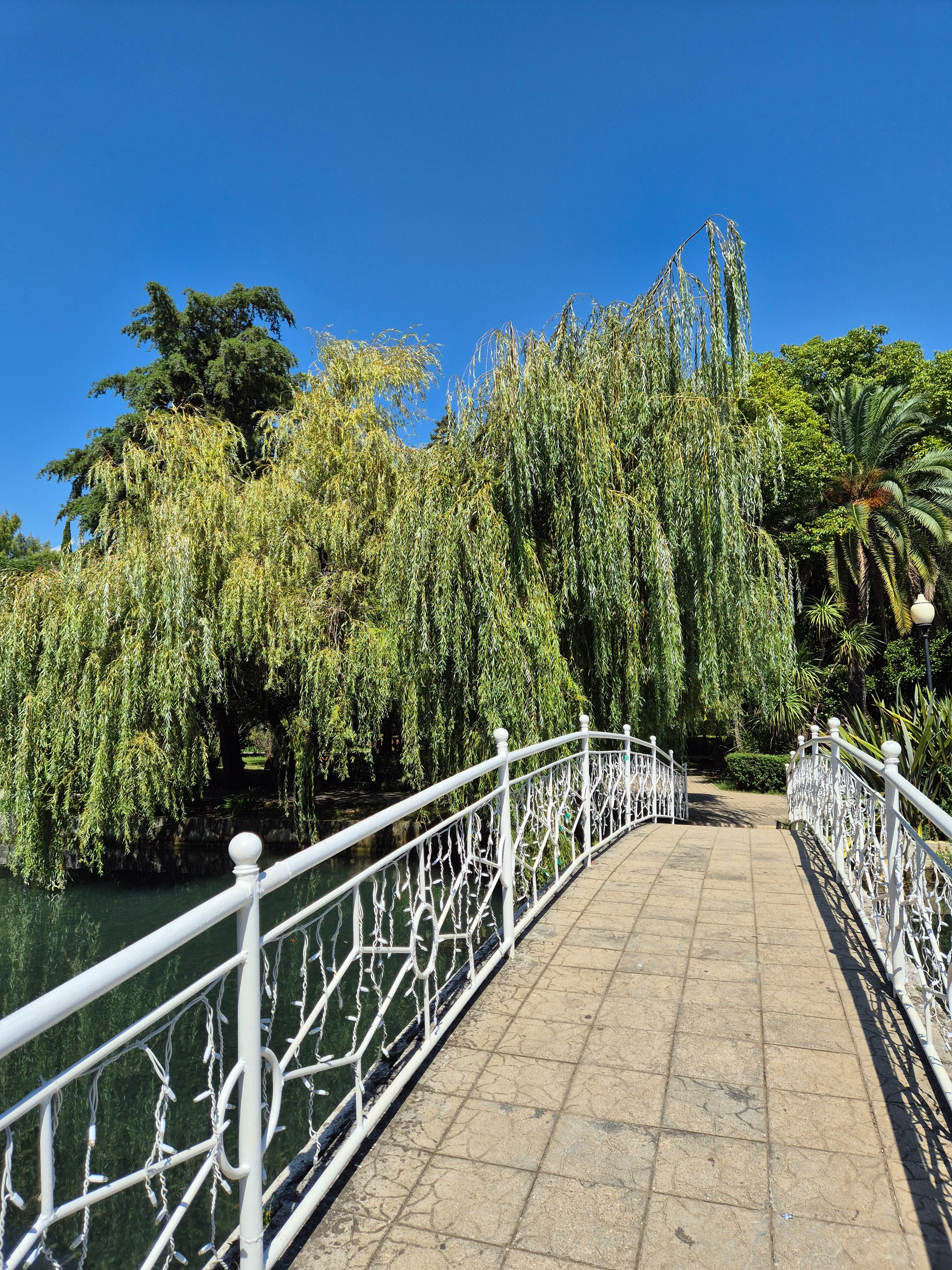 Фото Водопад