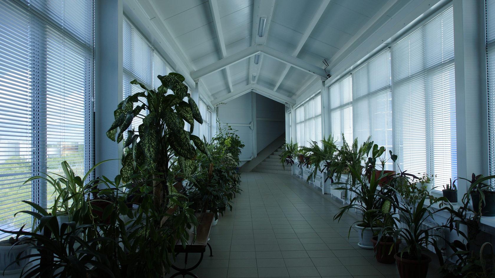 Фото Врата Арктики