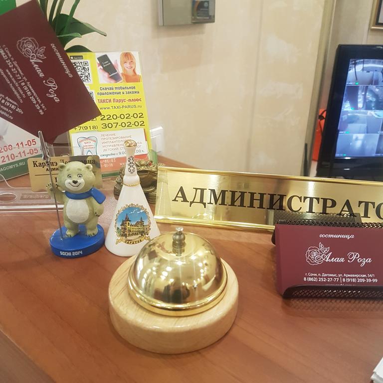 Фото Алая Роза