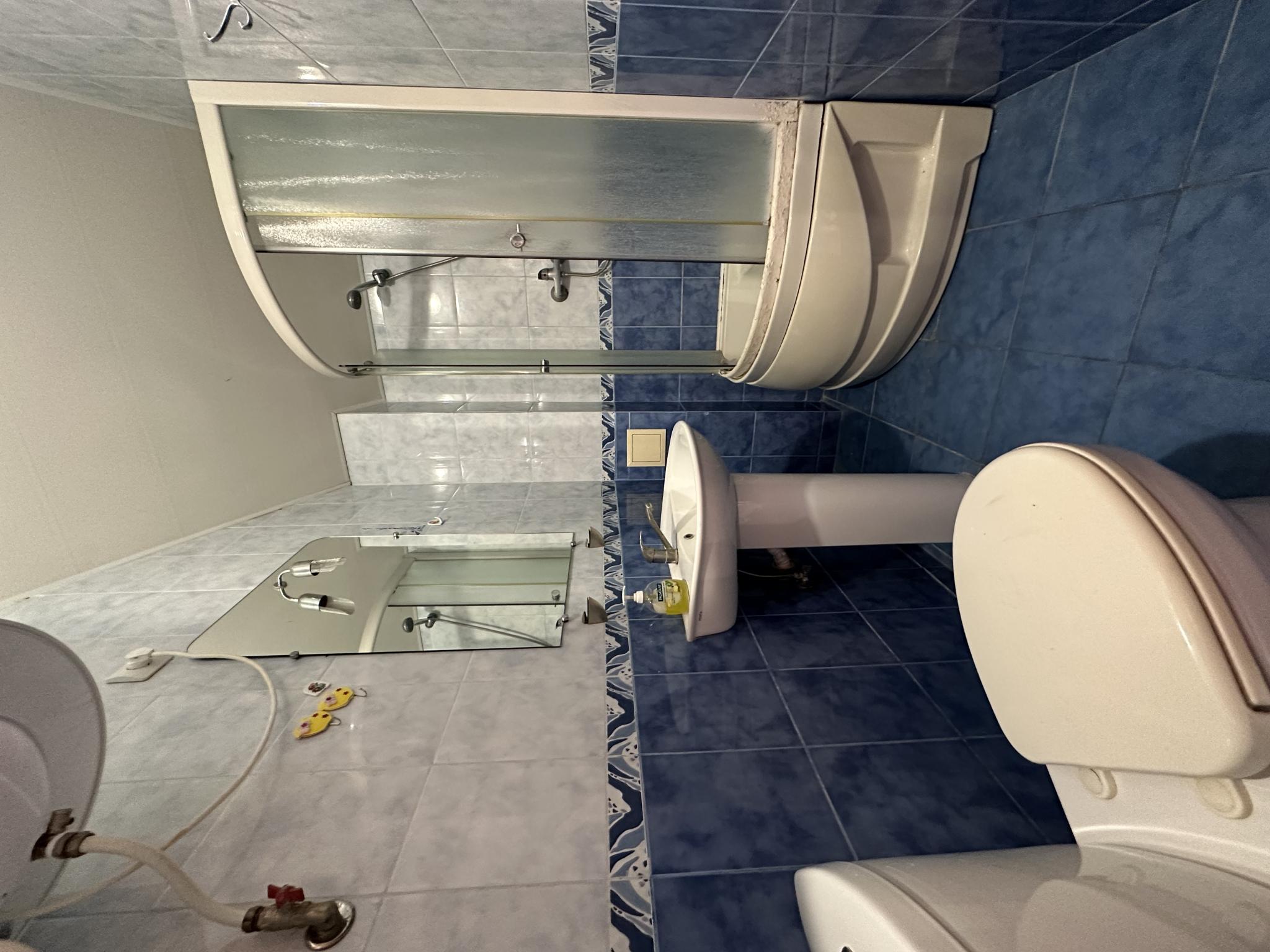 Фото Лев, корпус Катрин