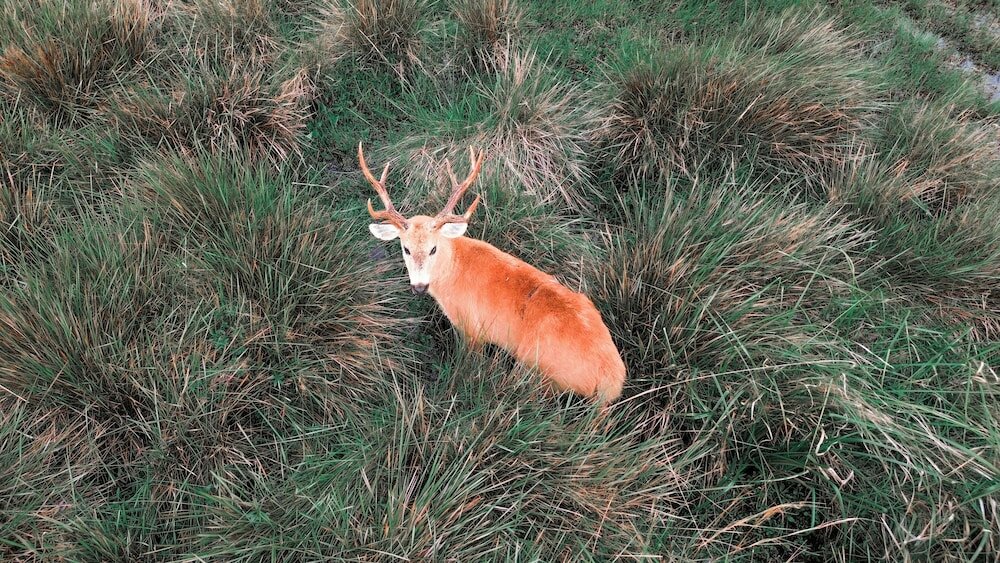 Фото Wild Wetlands Lodge