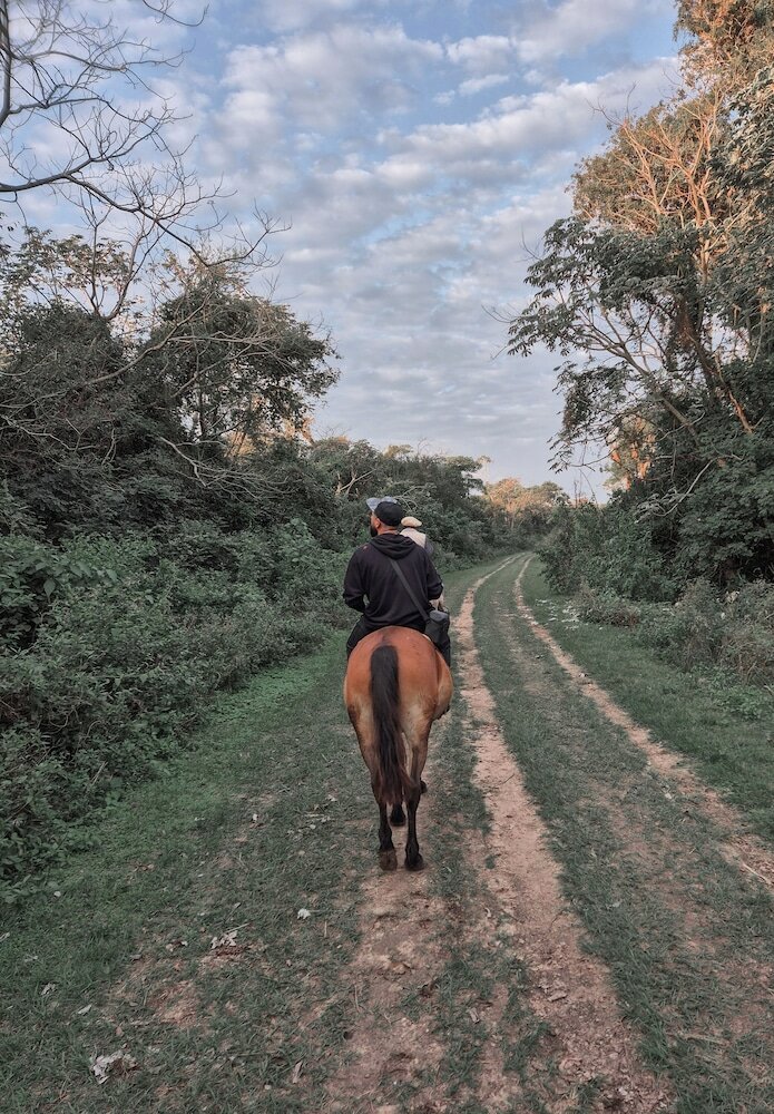 Фото Wild Wetlands Lodge
