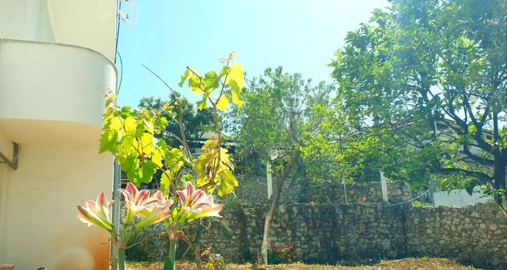 Фото Room in Apartment Albania Dream Holidays Apartment Ksamil