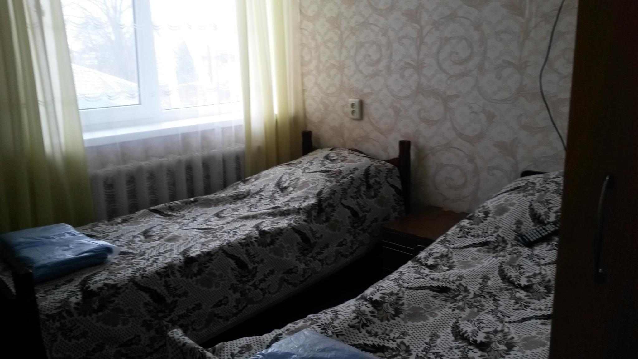 Фото Берёзка