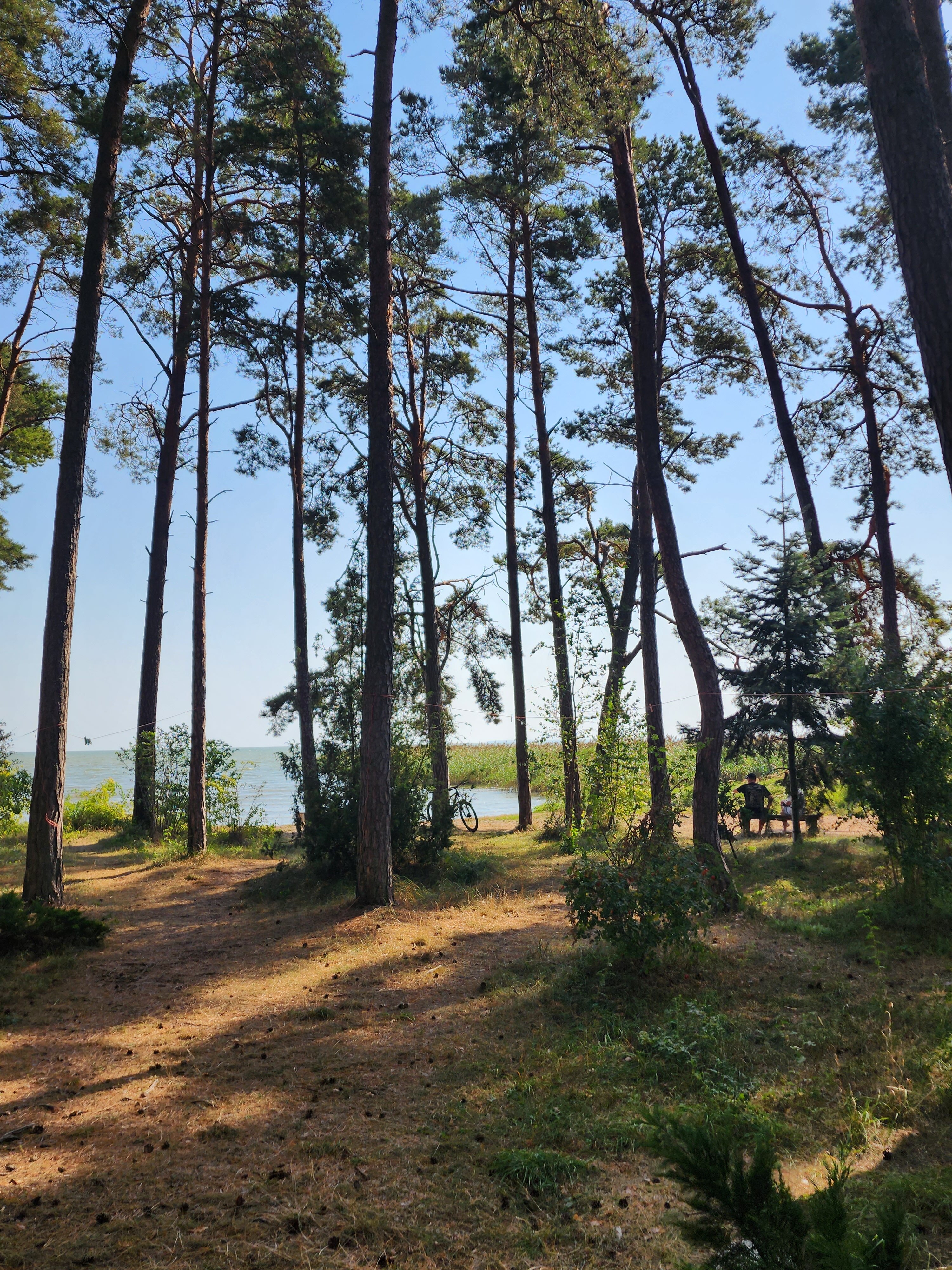 Фото ВитТех