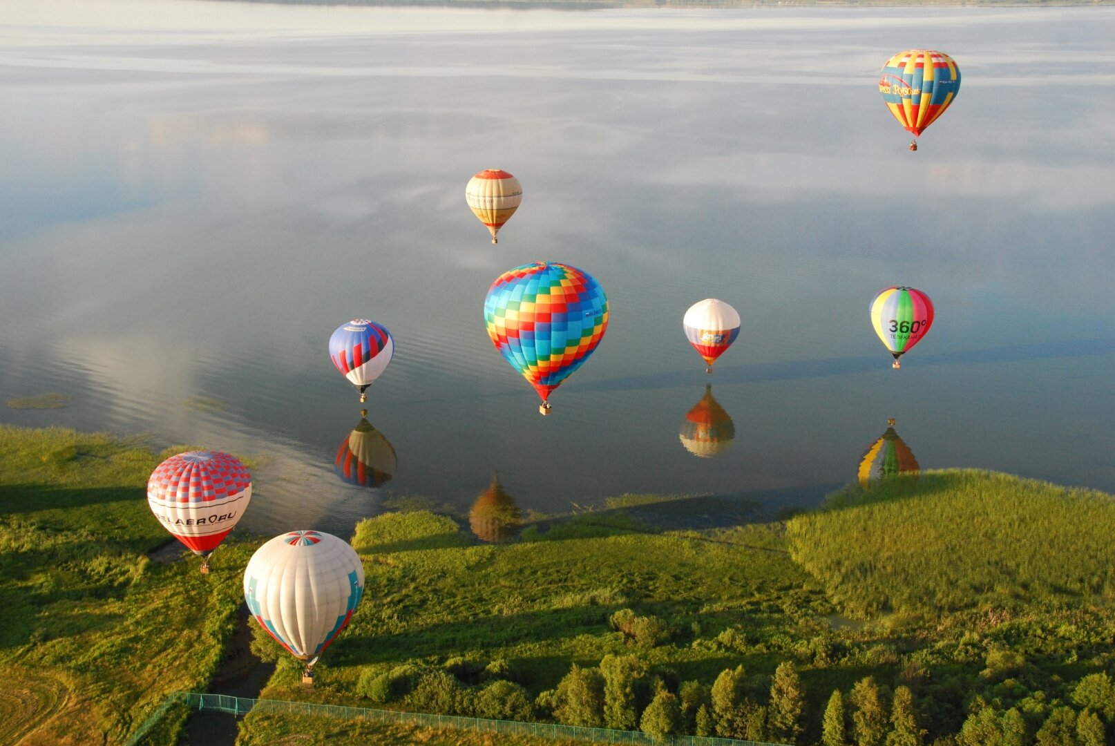 Фото Дом на дереве