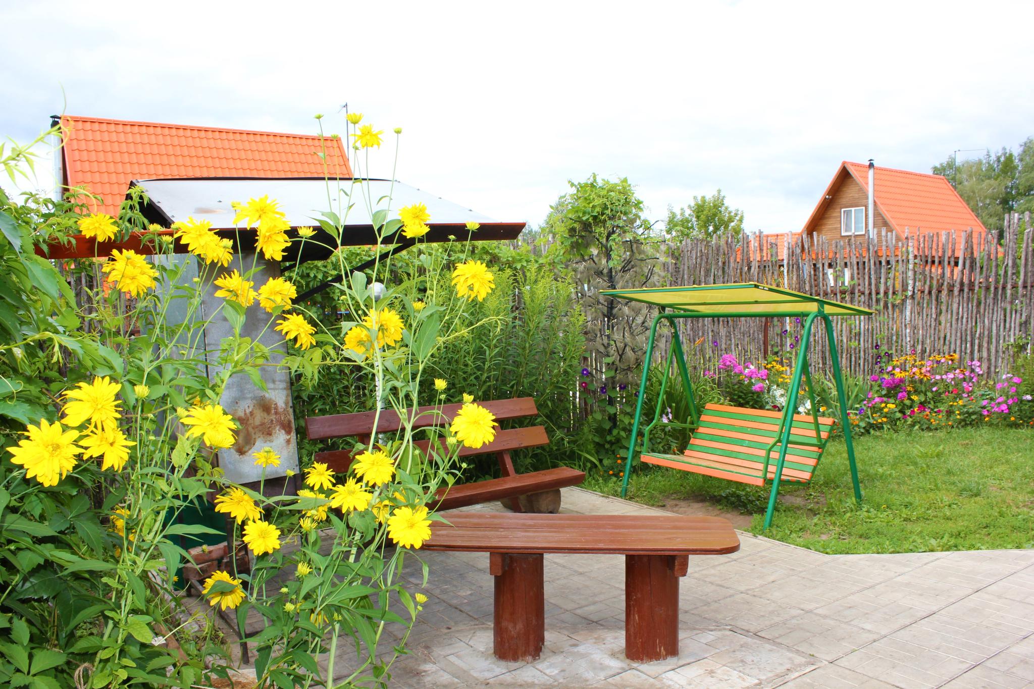 Фото Подсолнух