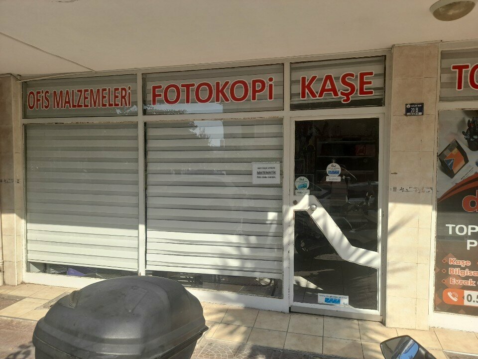 Flower shop Depo Çiçekçilik, Antalya, photo