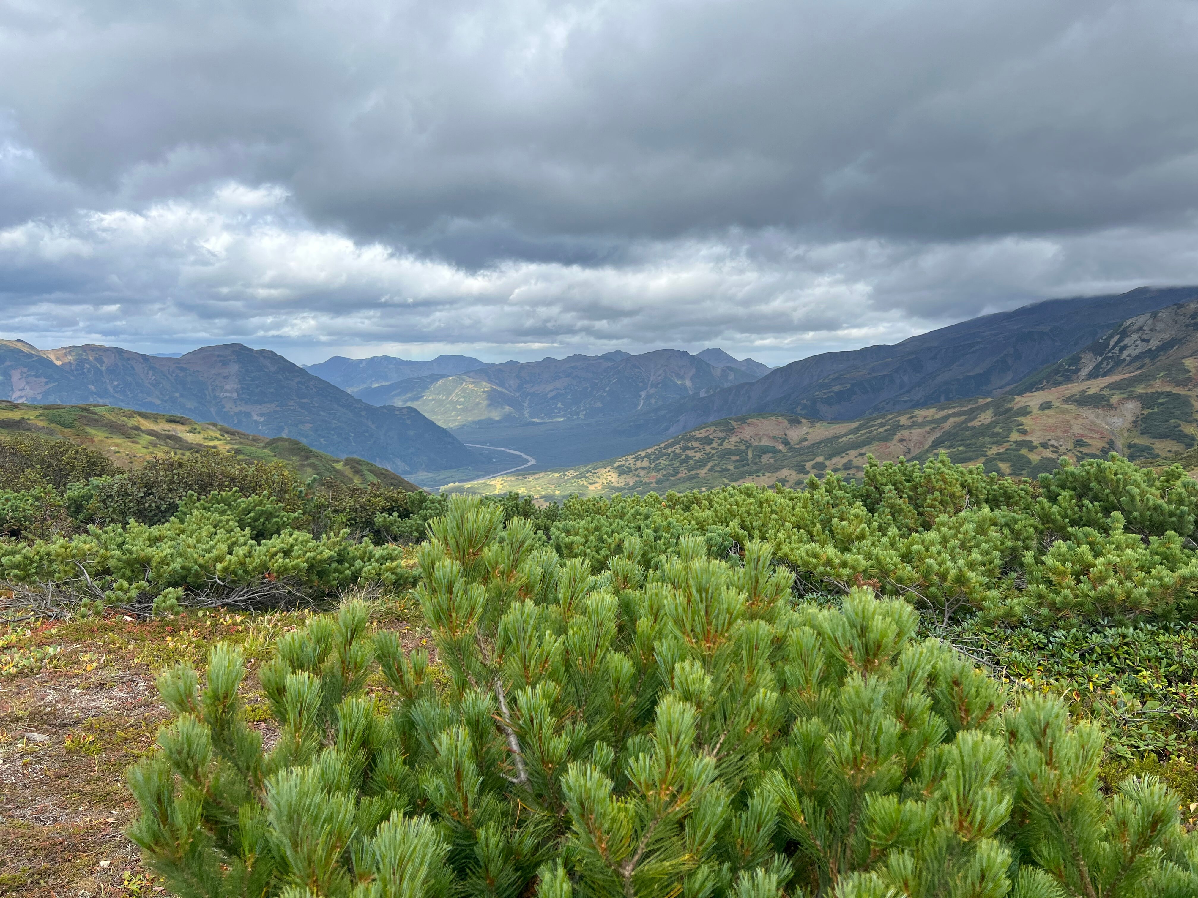 Фото Вилючик Кэмп