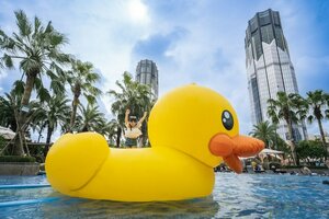 Гостиница Studio City