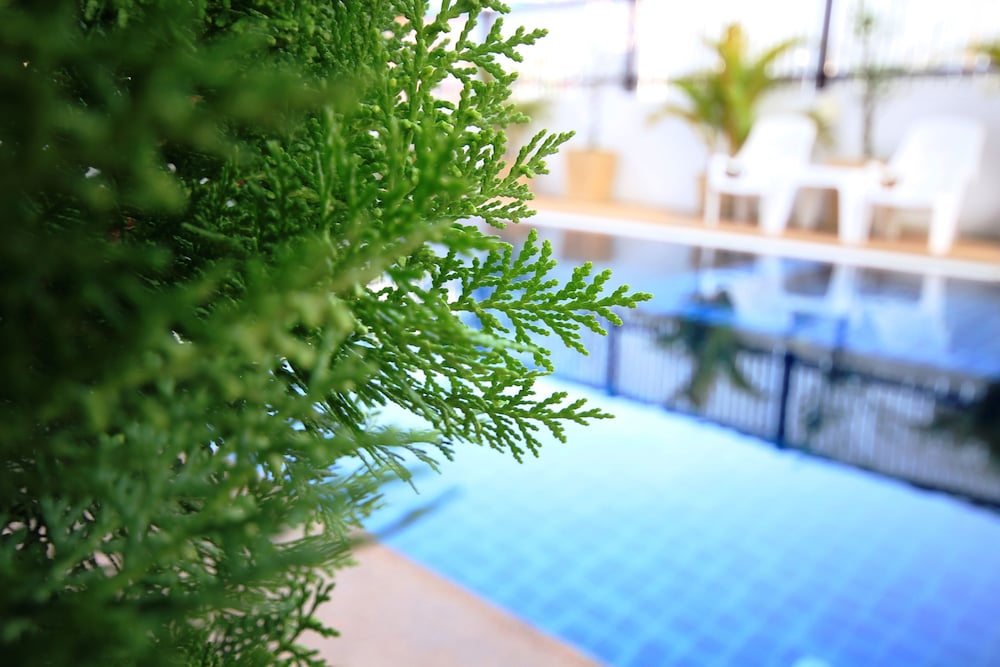 Фото Airport Resident 2