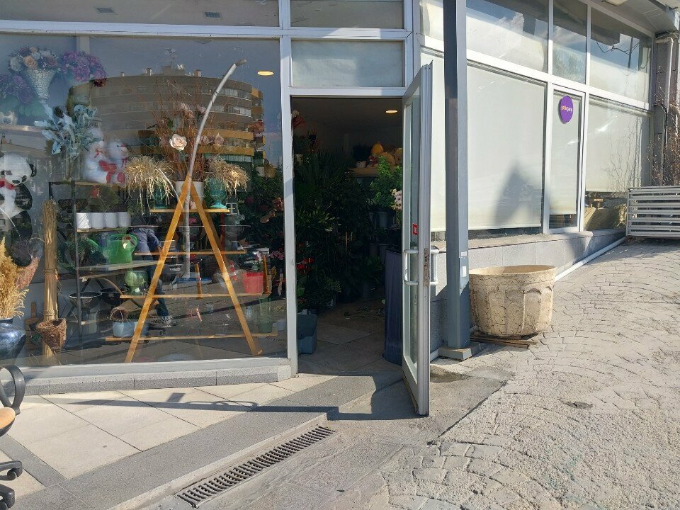 Flower shop Dreams cicek evi, Ankara, photo