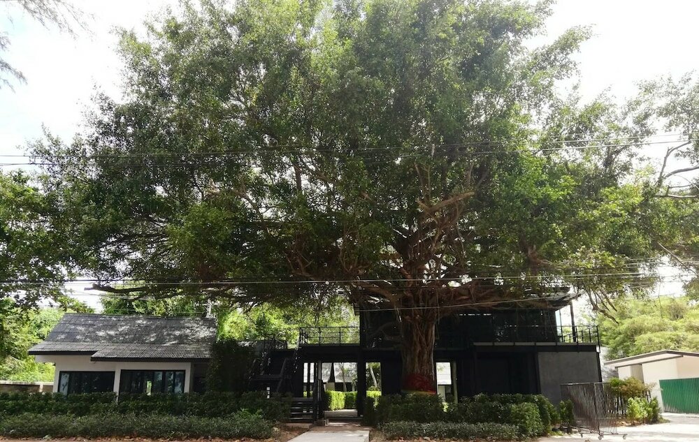 Фото Banyan Resort at Rayong