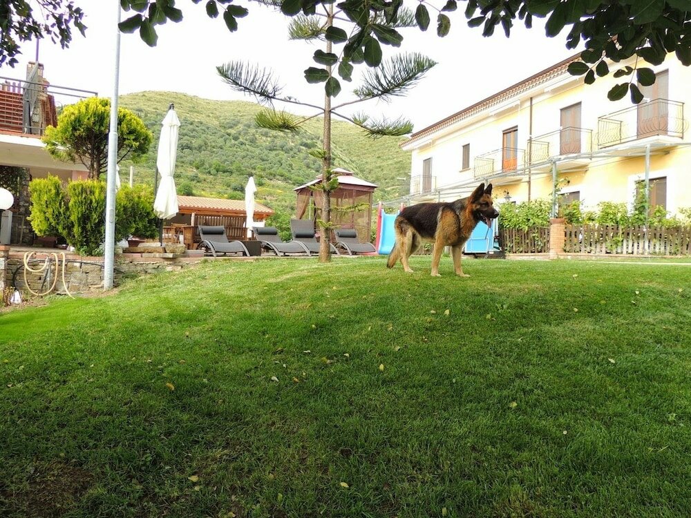 Фото That's Amore Cilento Country House