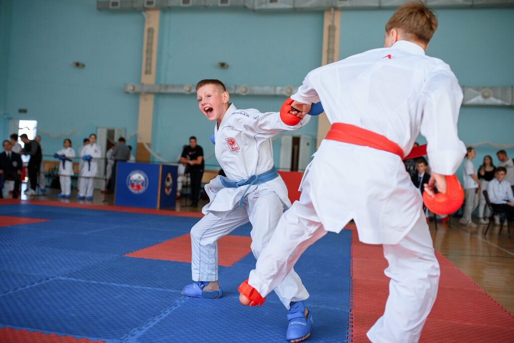 مدرسة رياضية Center for Sports Karate Irbis ، فورونيج، صورة