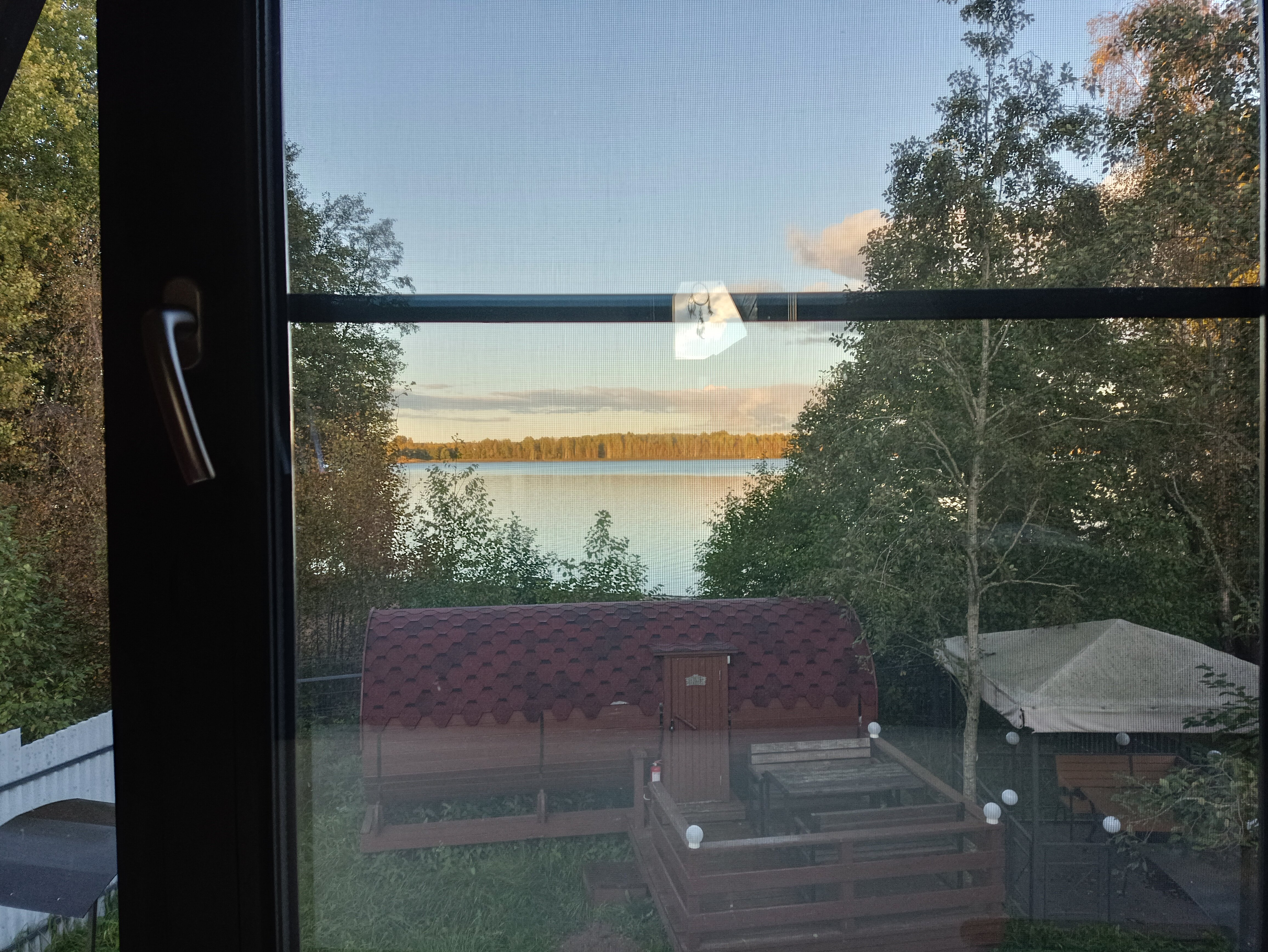 Фото Ёlki в Правдинское озеро