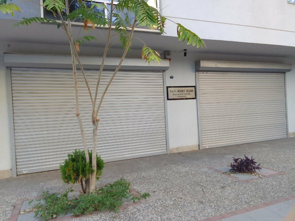 Private practice doctors Prof. Dr. Mehmet Selcuki, Izmir, photo