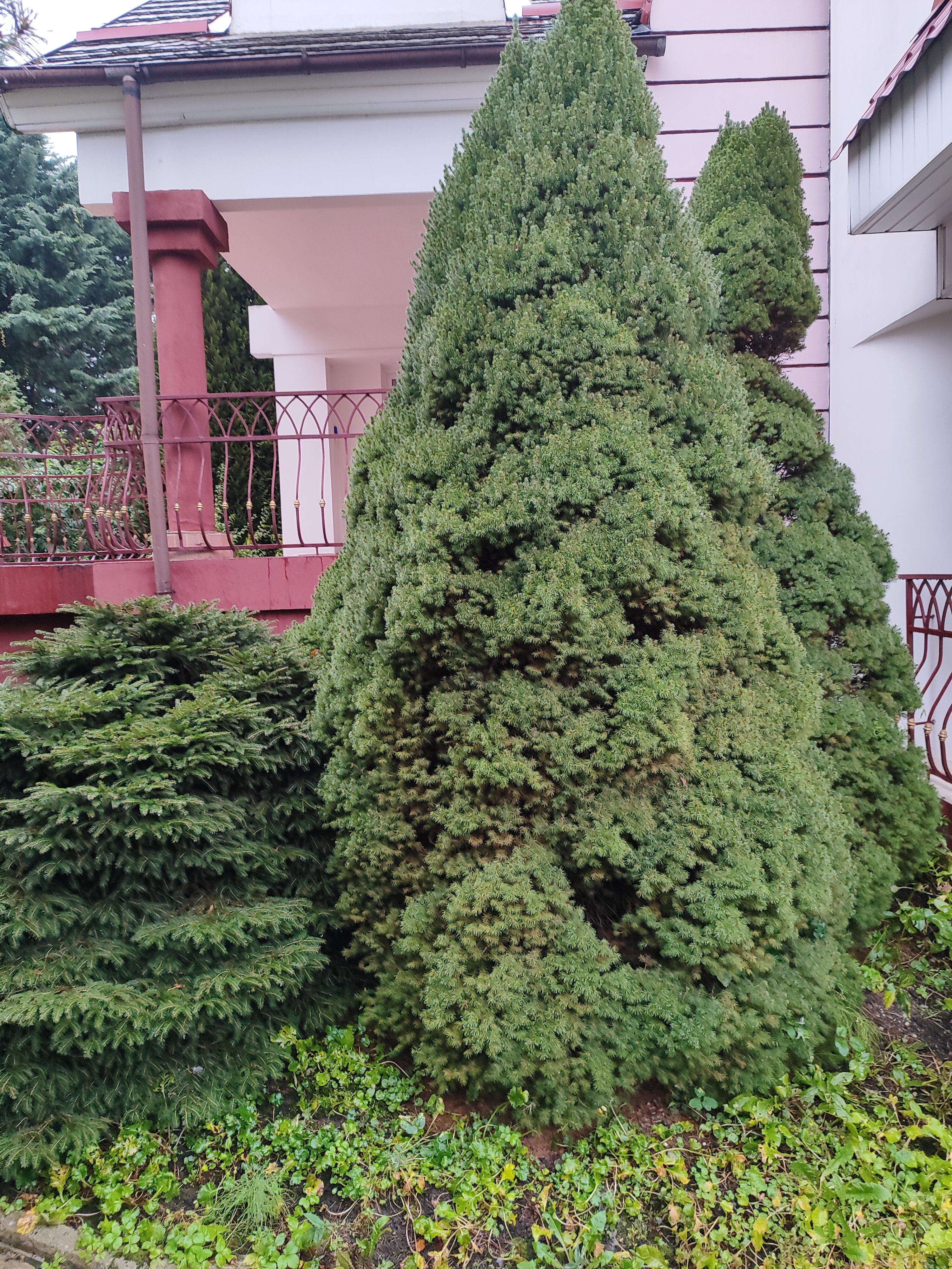 Фото Вилла Северин