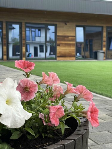 Дом отдыха Маяк в Тульском