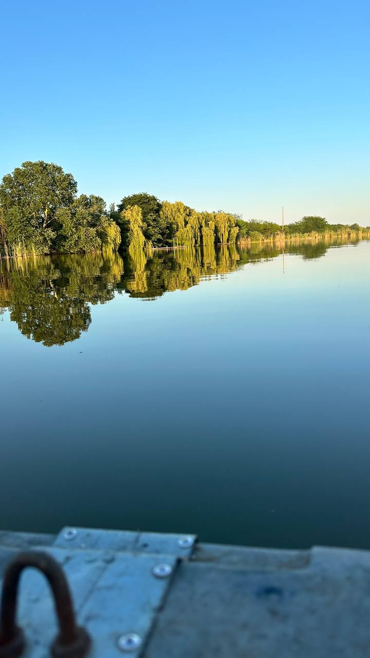 Фото Гнездо